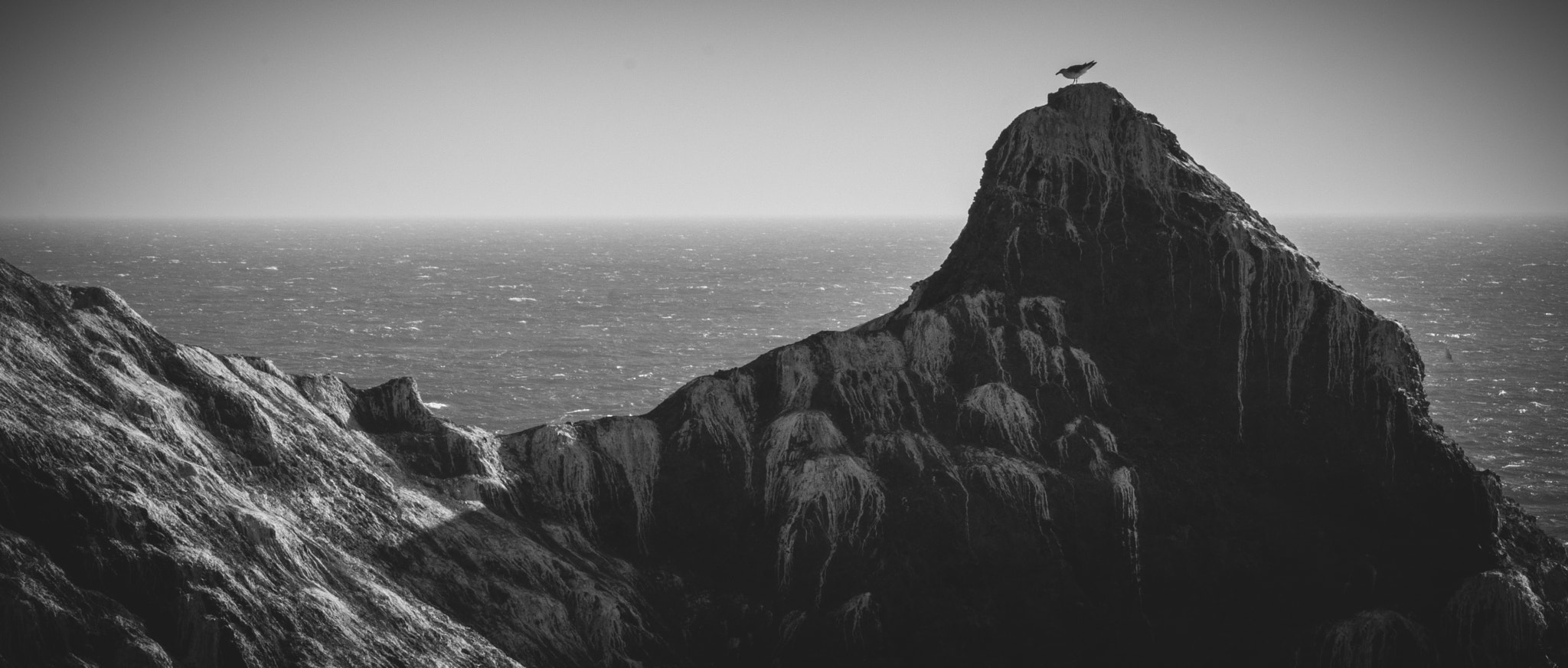 Fujifilm XF 100-400mm F4.5-5.6 R LM OIS WR sample photo. Seagull on muscle rock photography