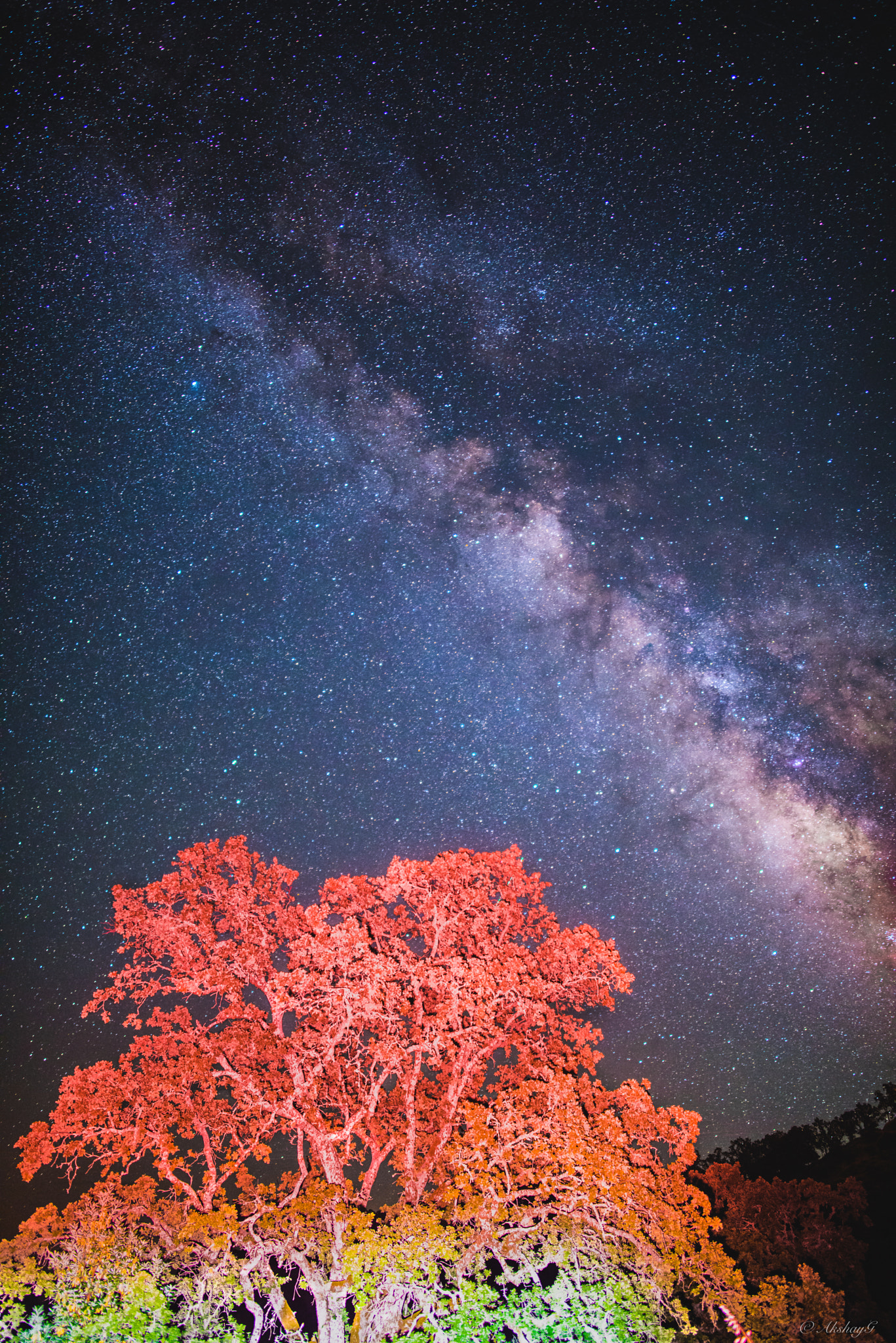 Samyang 12mm F2.8 ED AS NCS Fisheye sample photo. Milky way 3 photography