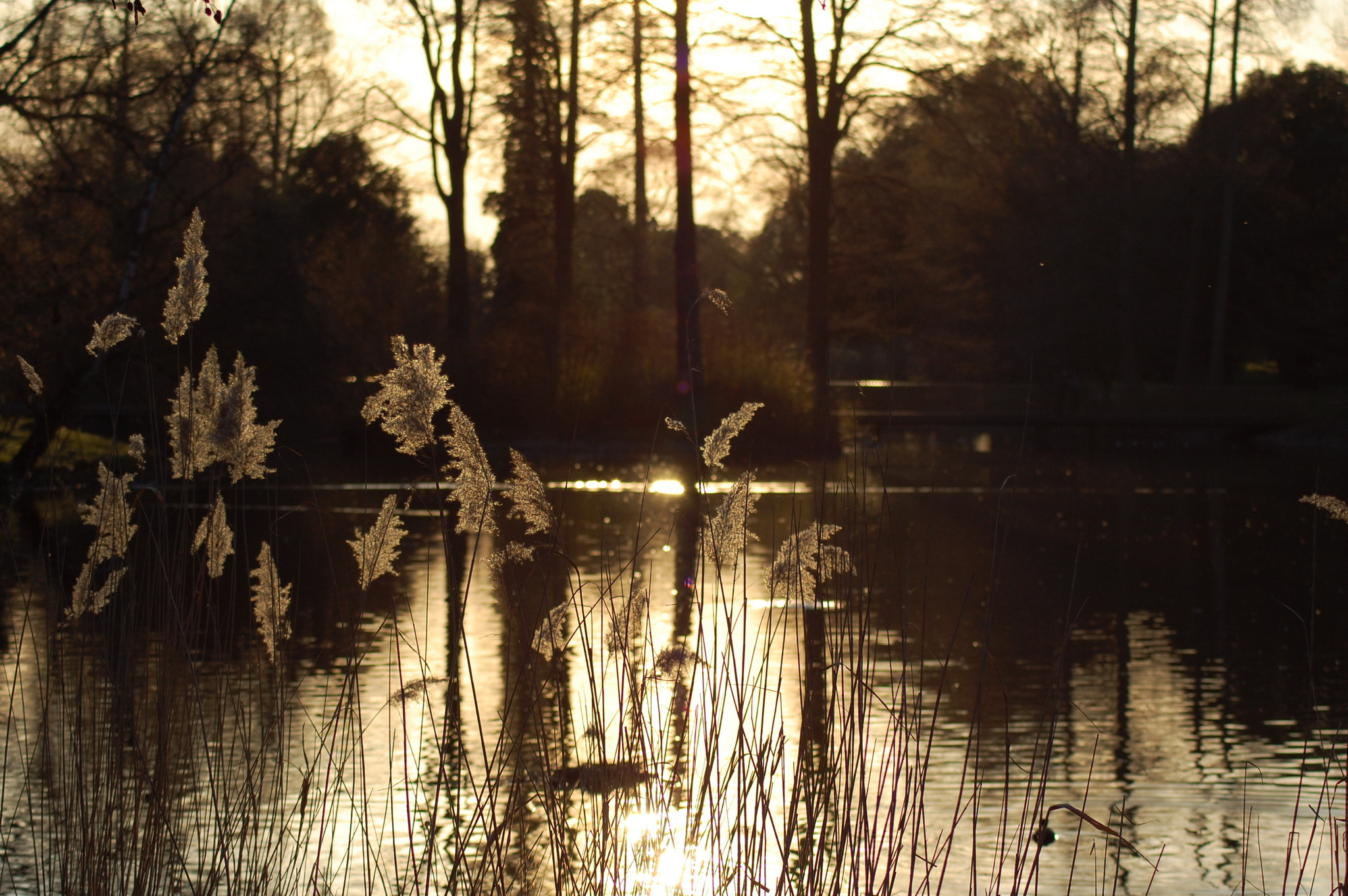 Nikon D40 sample photo. London park photography