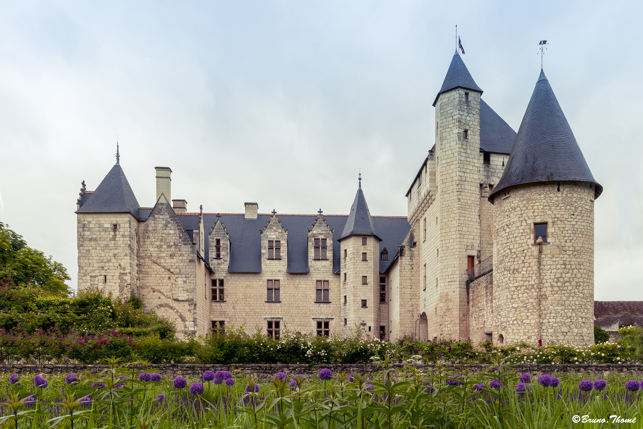 Sigma 17-50mm F2.8 EX DC HSM sample photo. Castle rivau photography