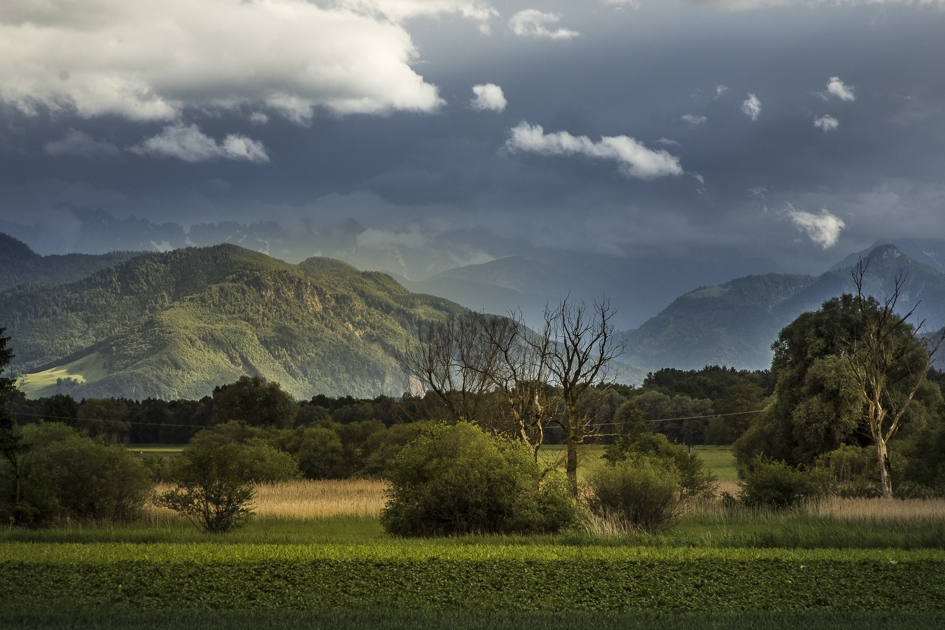 Canon EF 28-135mm F3.5-5.6 IS USM sample photo. Thunderstorm is coming? photography