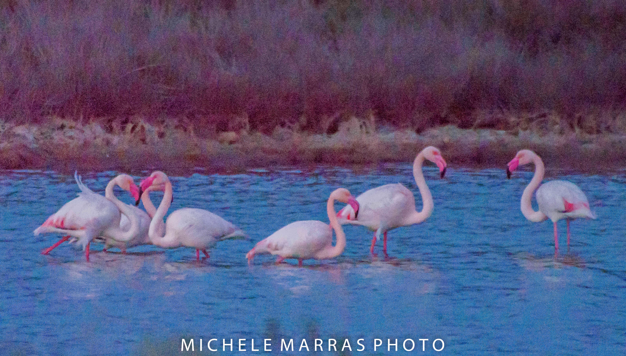 Olympus Zuiko Digital ED 70-300mm F4.0-5.6 sample photo. Family photography