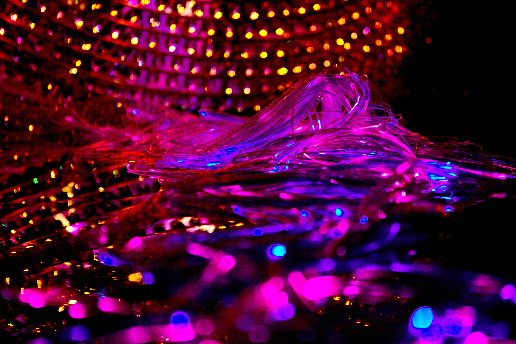 Sigma 70-200mm F2.8 EX DG OS HSM sample photo. Light games photography