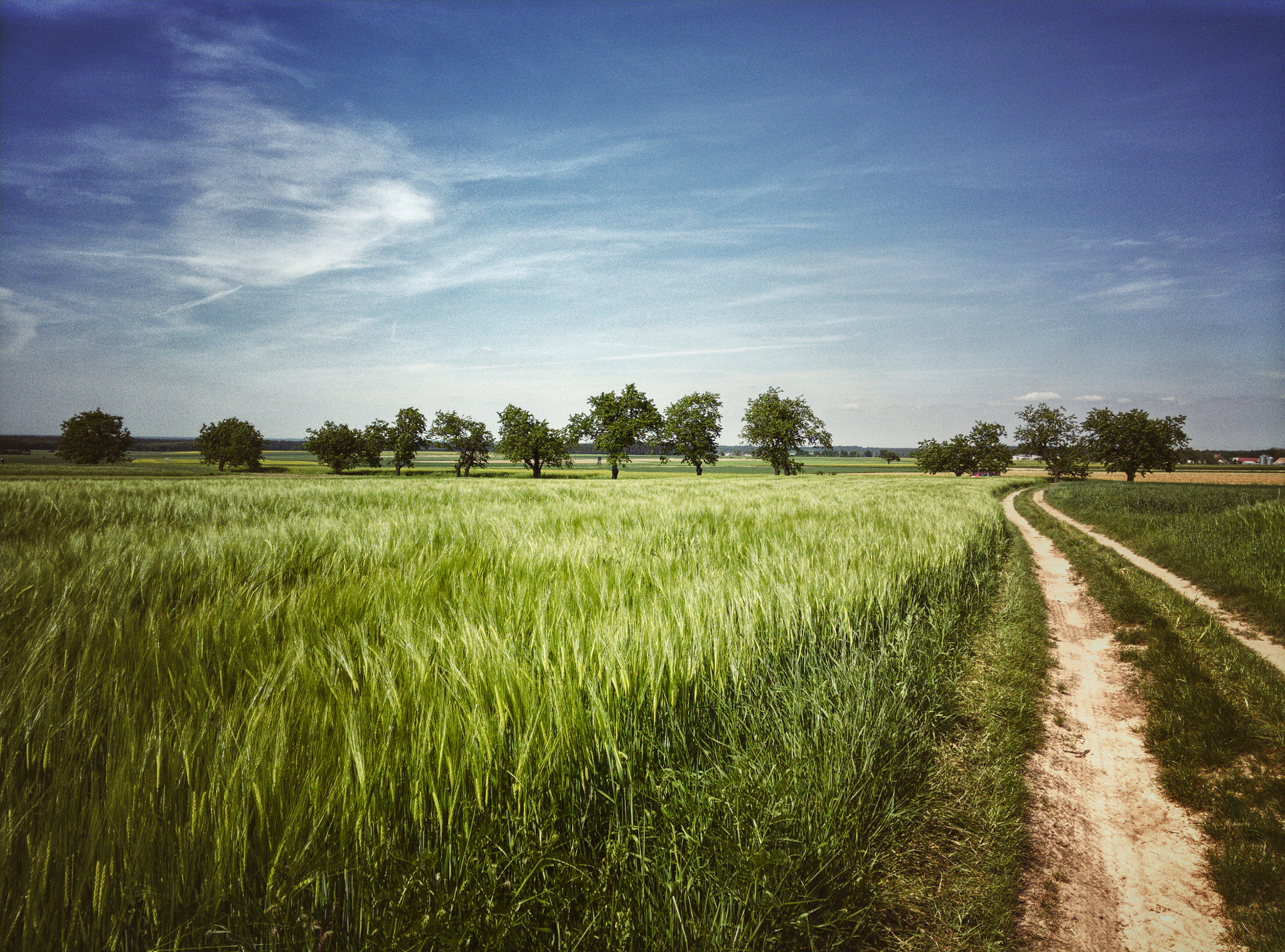 OnePlus One A0001 sample photo. Spring landscape  photography