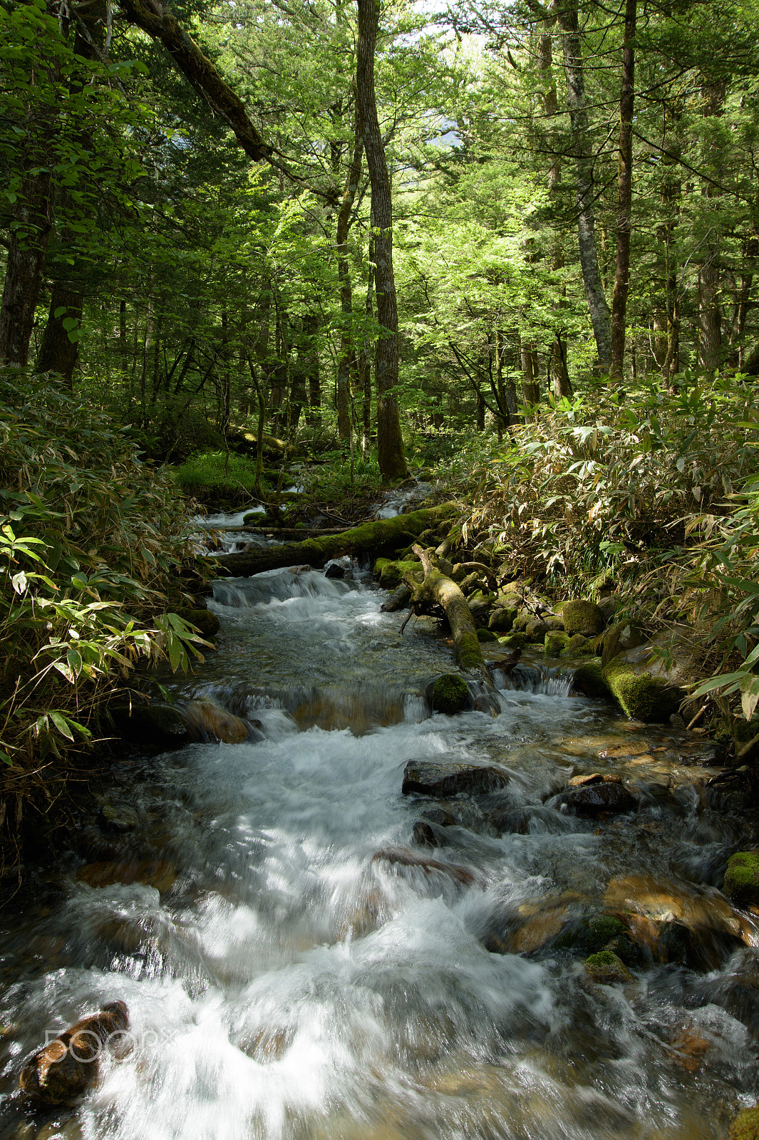 Nikon Df sample photo. Stream photography