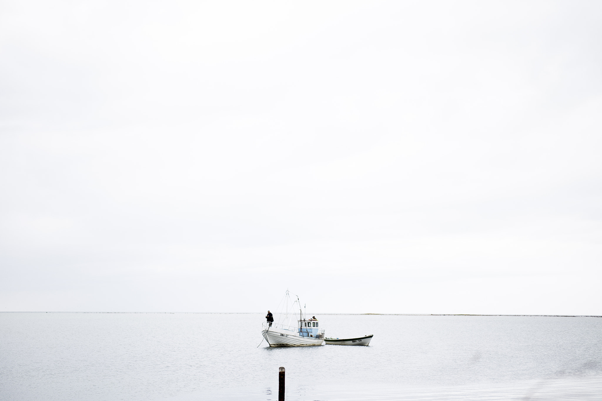 Sigma 50mm f/1.4 EX DG HSM + 1.4x sample photo. Estonia photography