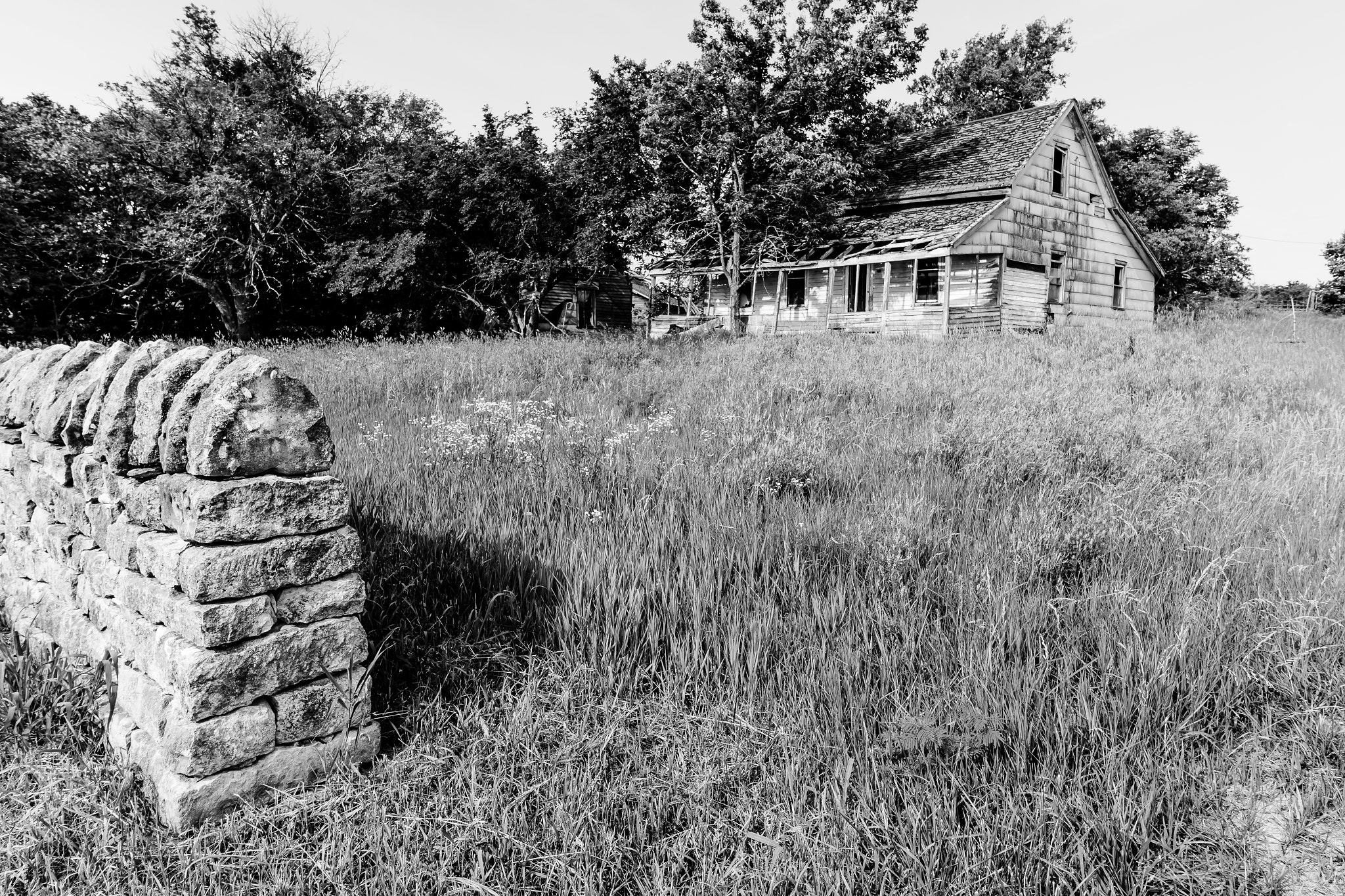 Canon EF-S 10-18mm F4.5–5.6 IS STM sample photo. Homestead photography