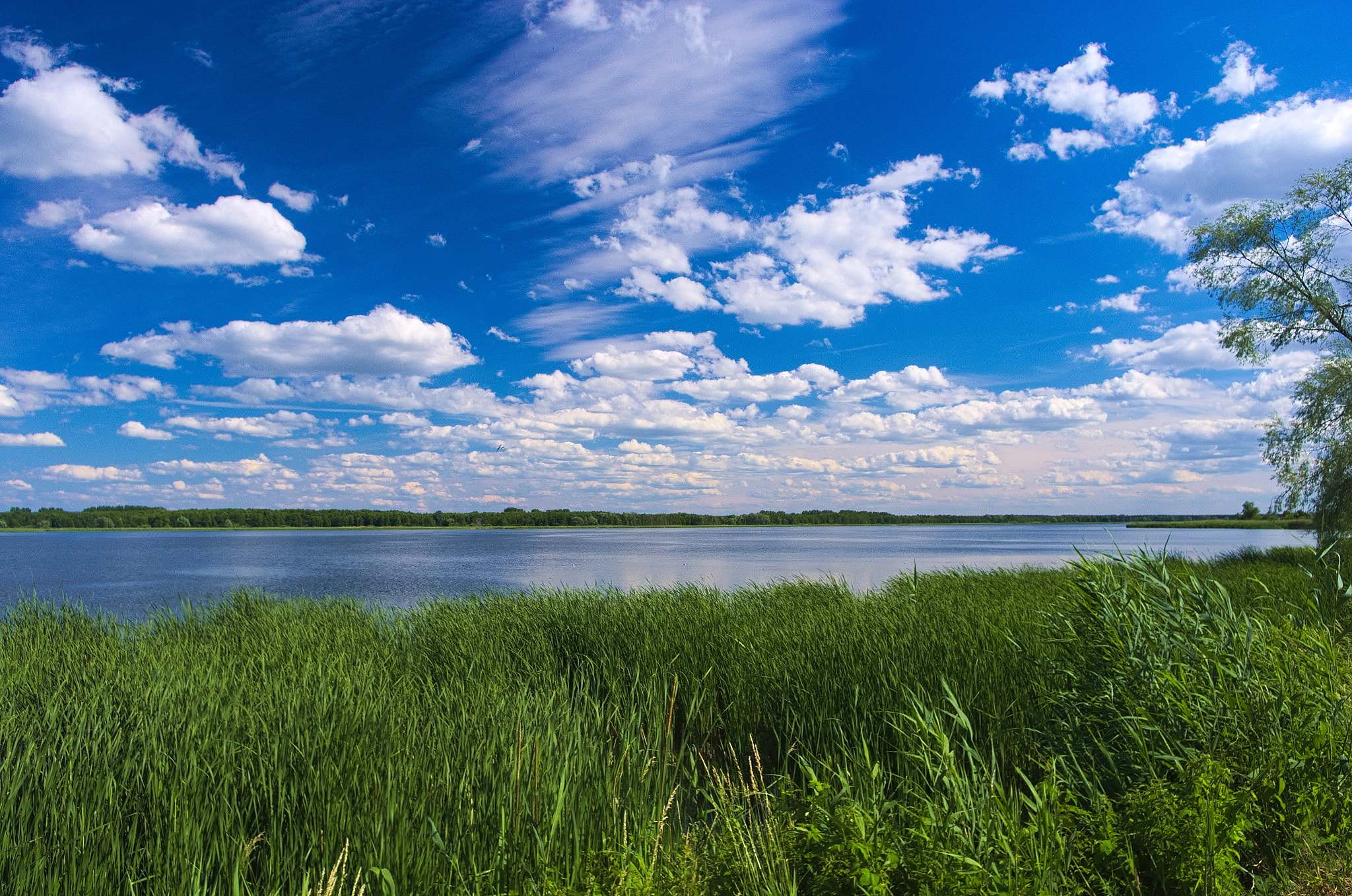 Pentax K-5 + Pentax smc DA 15mm F4 ED AL Limited sample photo. Berzyńskie lake near wolsztyn photography