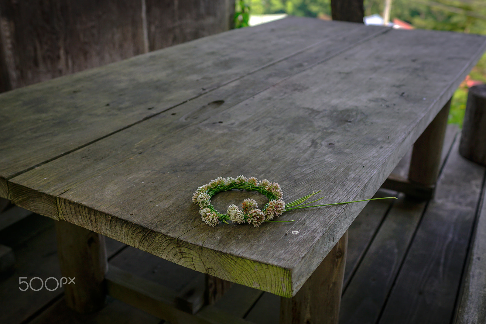 Sony ILCA-77M2 sample photo. Promise photography