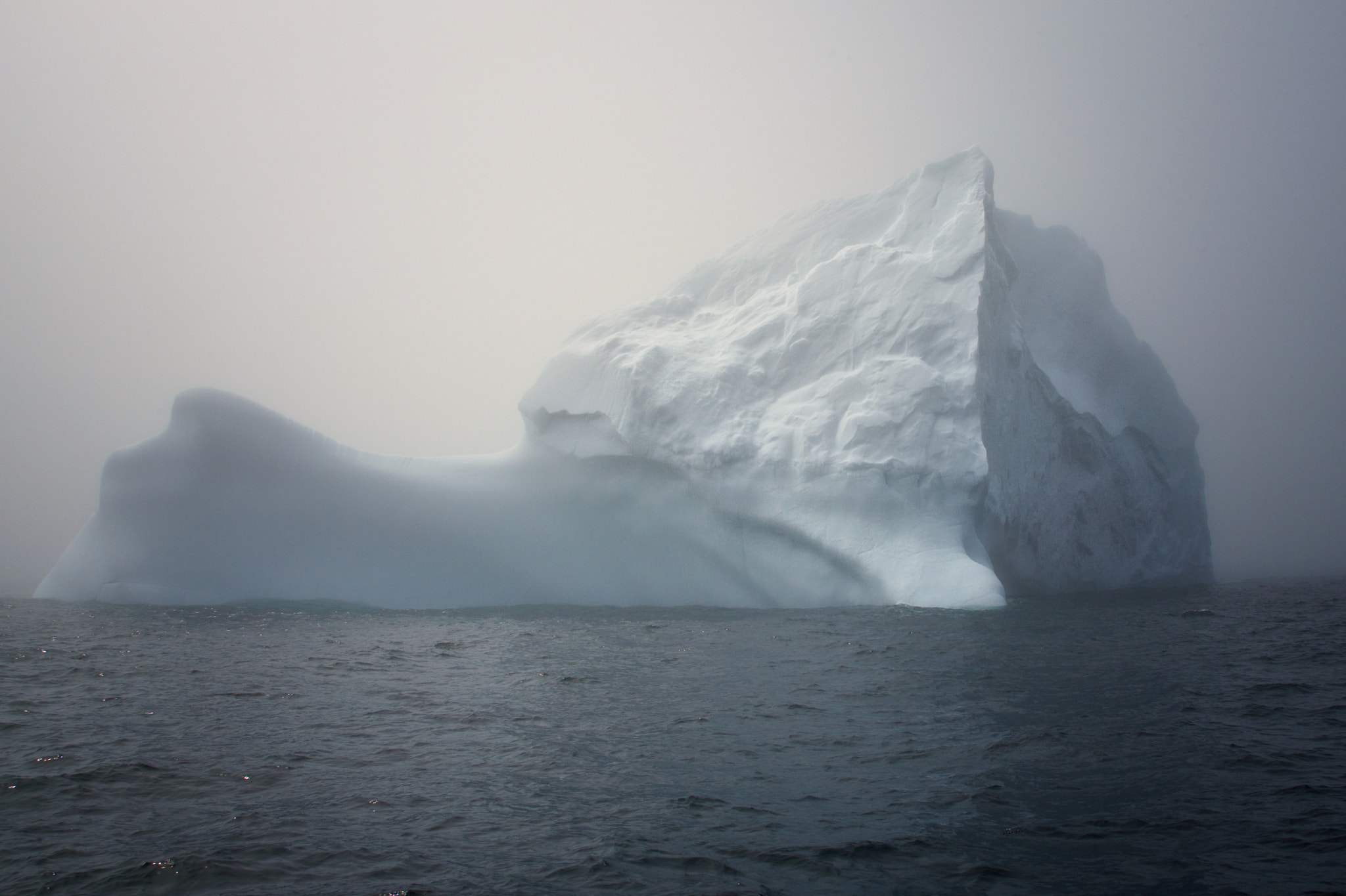 Canon EOS-1Ds Mark II sample photo. Misty iceberg photography