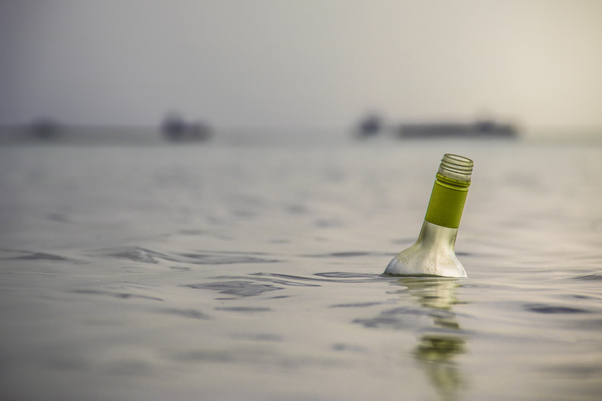 Canon EOS 750D (EOS Rebel T6i / EOS Kiss X8i) sample photo. Message from a bottle photography