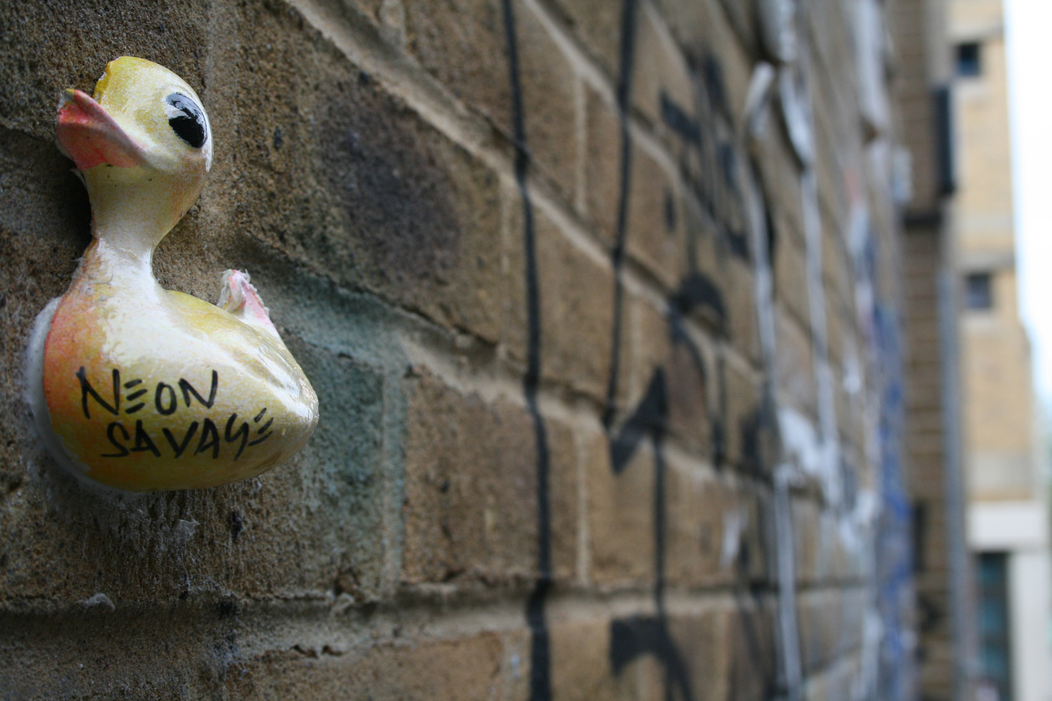 Canon EF-S 18-55mm F3.5-5.6 sample photo. Neon savage photography
