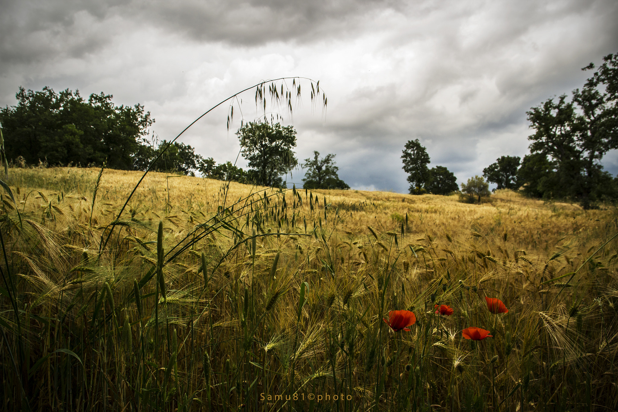 Sigma 17-70mm F2.8-4 DC Macro OS HSM | C sample photo. Cloudy sky... photography