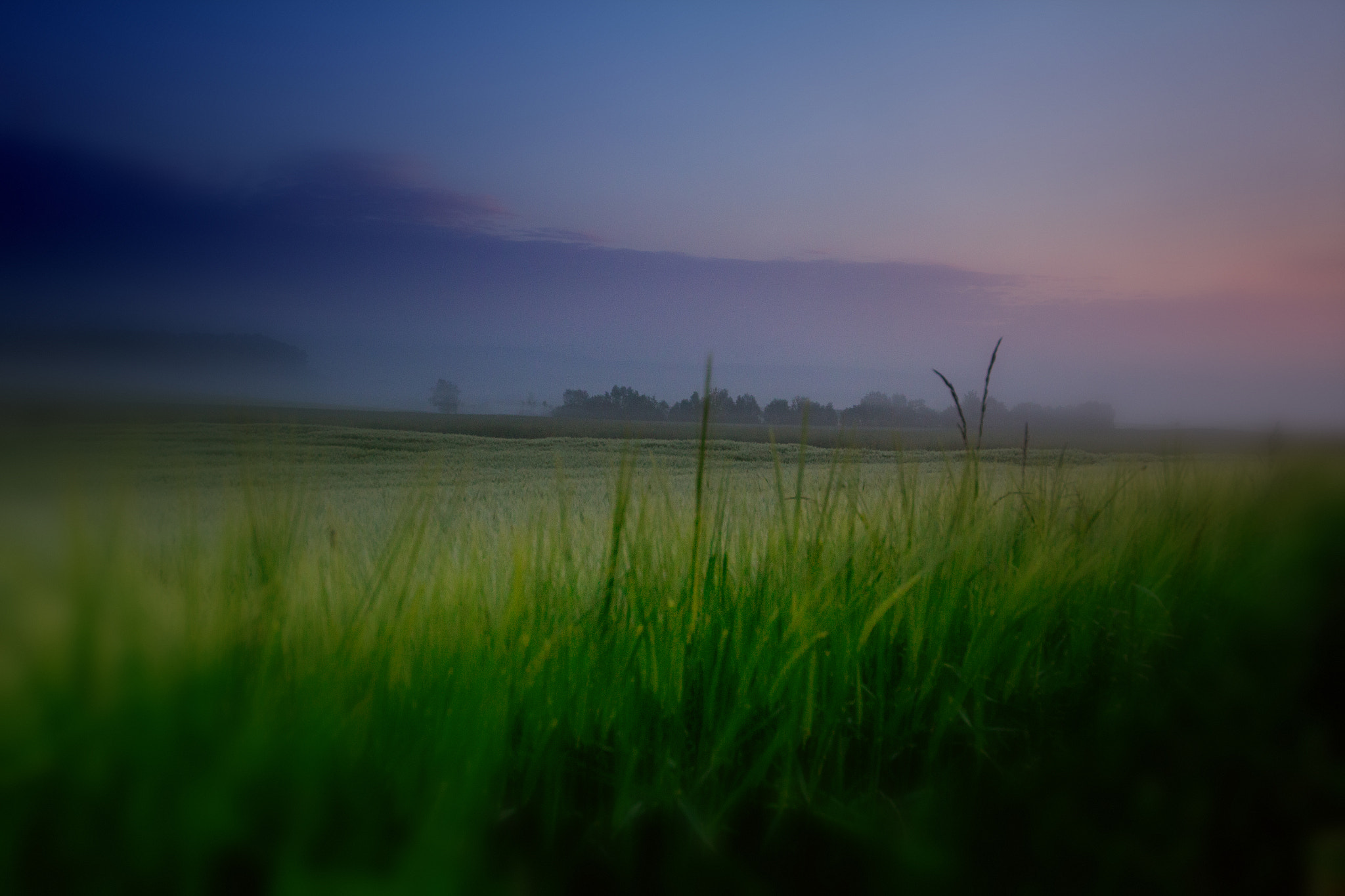 Sigma 12-24mm F4.5-5.6 II DG HSM sample photo. Orge brouillard photography