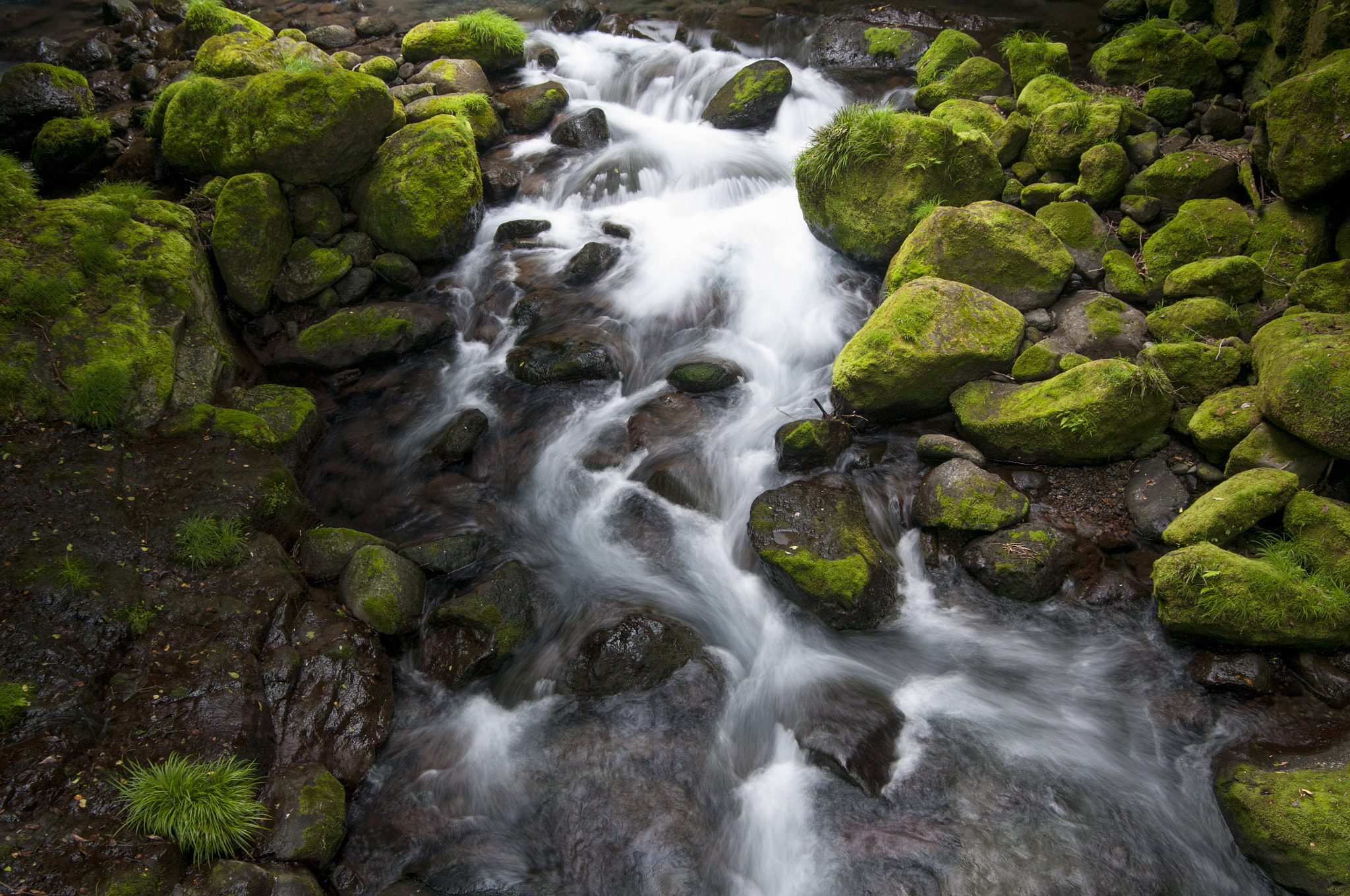 Pentax K-7 sample photo. Green river photography