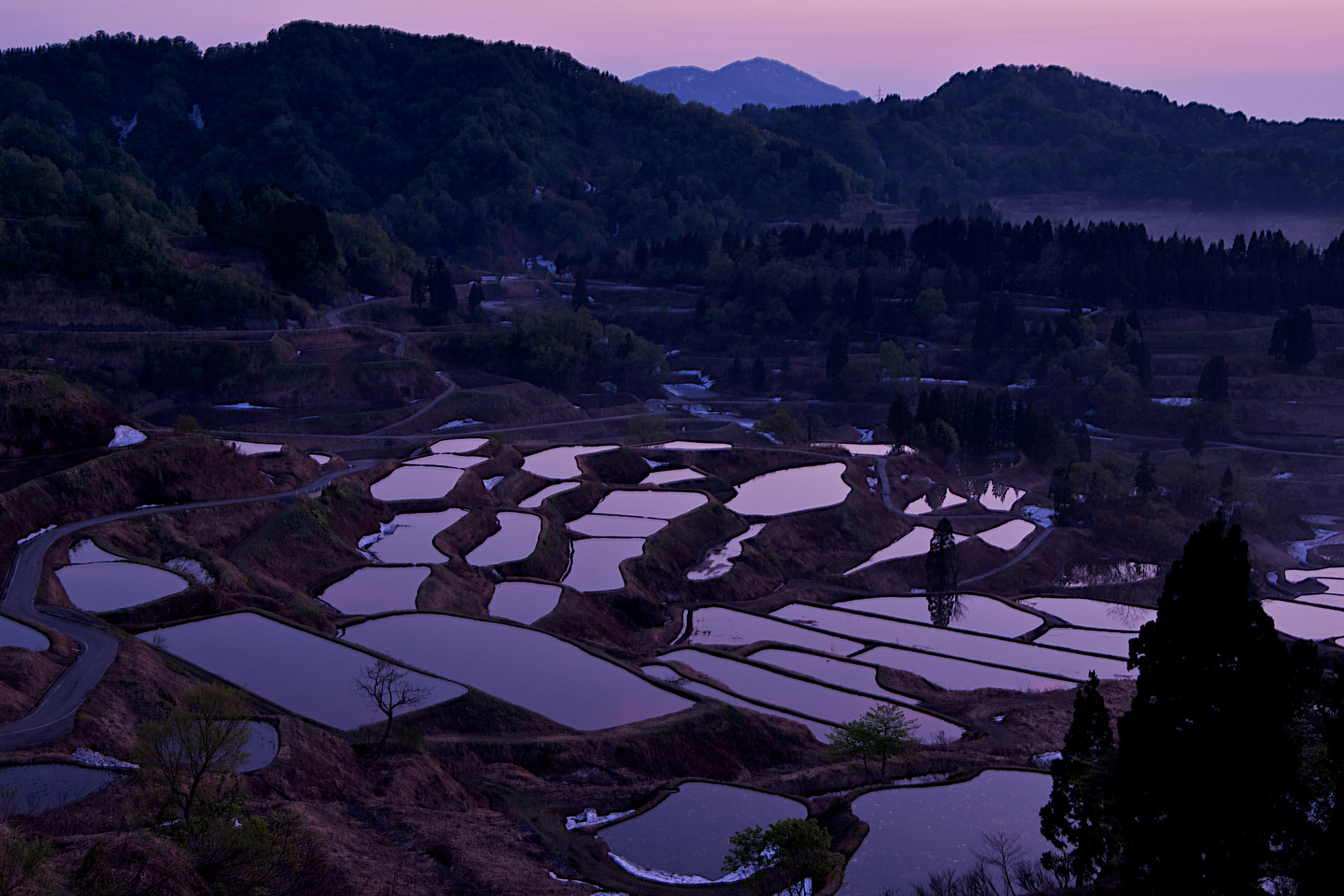 Pentax K-7 sample photo. Rice terrace photography