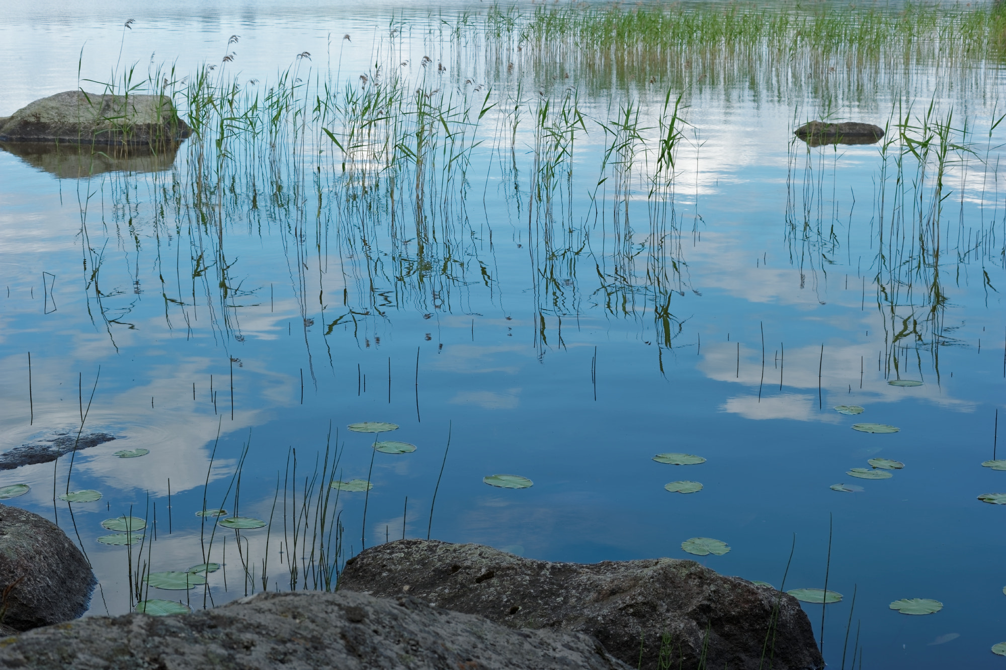 NX 45mm F1.8 [T6] 2D/3D sample photo. Lake photography