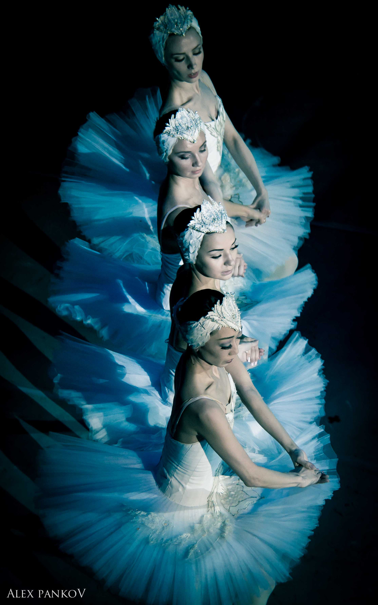 Nikon D600 sample photo. Swans photography