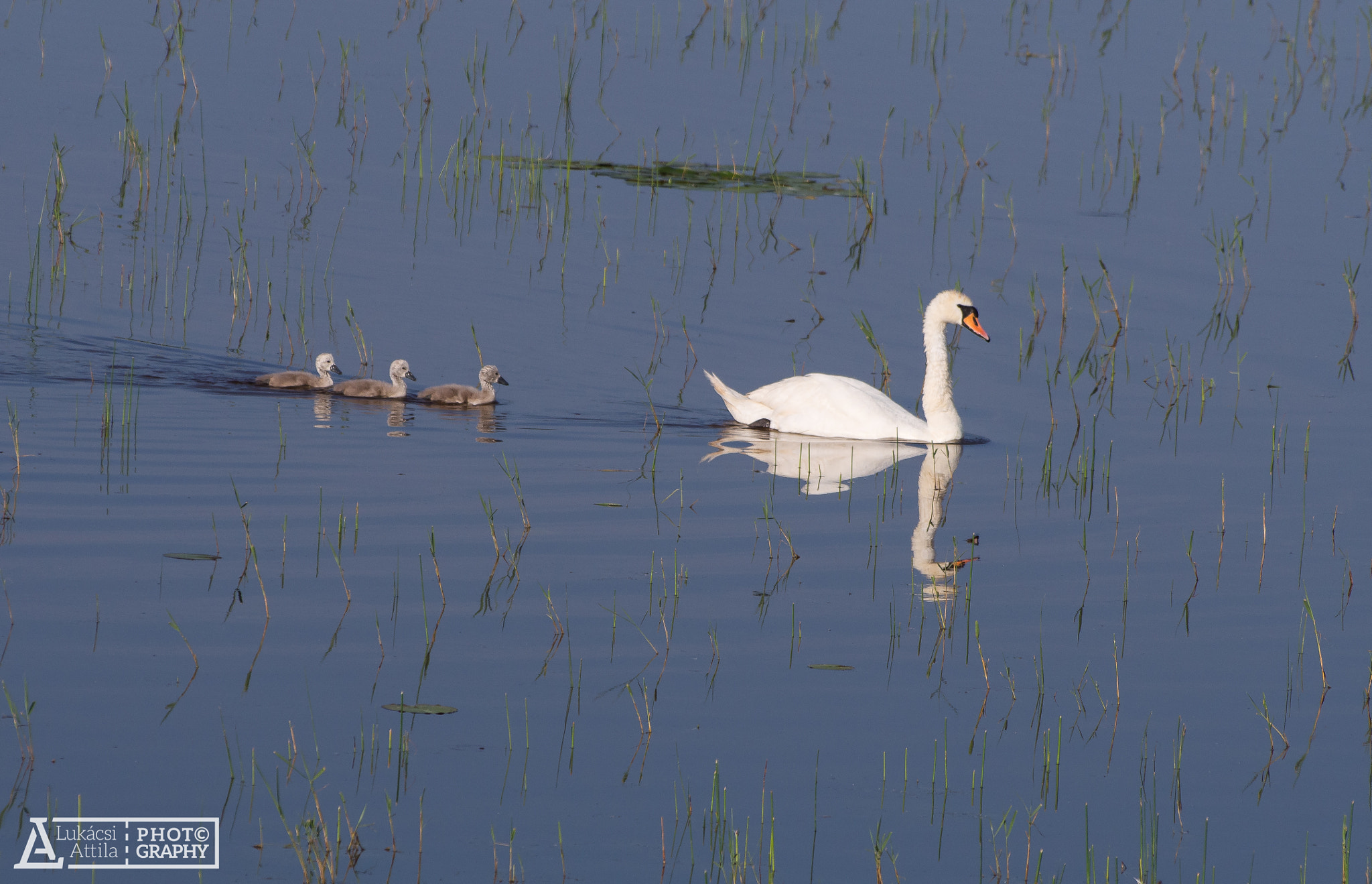 Olympus Zuiko Digital ED 70-300mm F4.0-5.6 sample photo. Three children photography