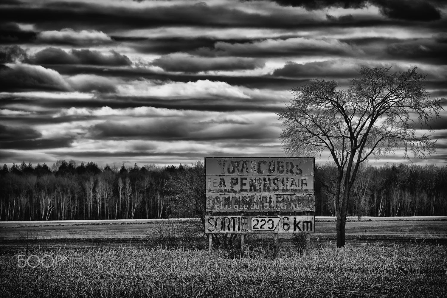 Canon EF 100-400mm F4.5-5.6L IS USM sample photo. Martinbernier.com/black and white photography