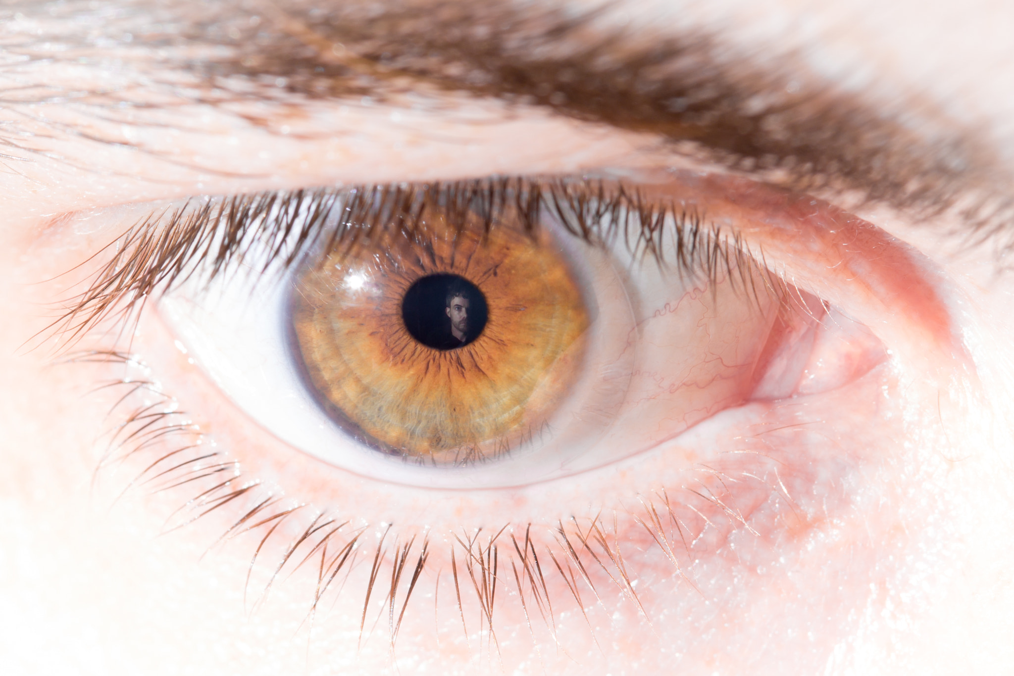 Canon EF 100mm F2.8 Macro USM sample photo. Double self portrait, the beauty and the beast photography