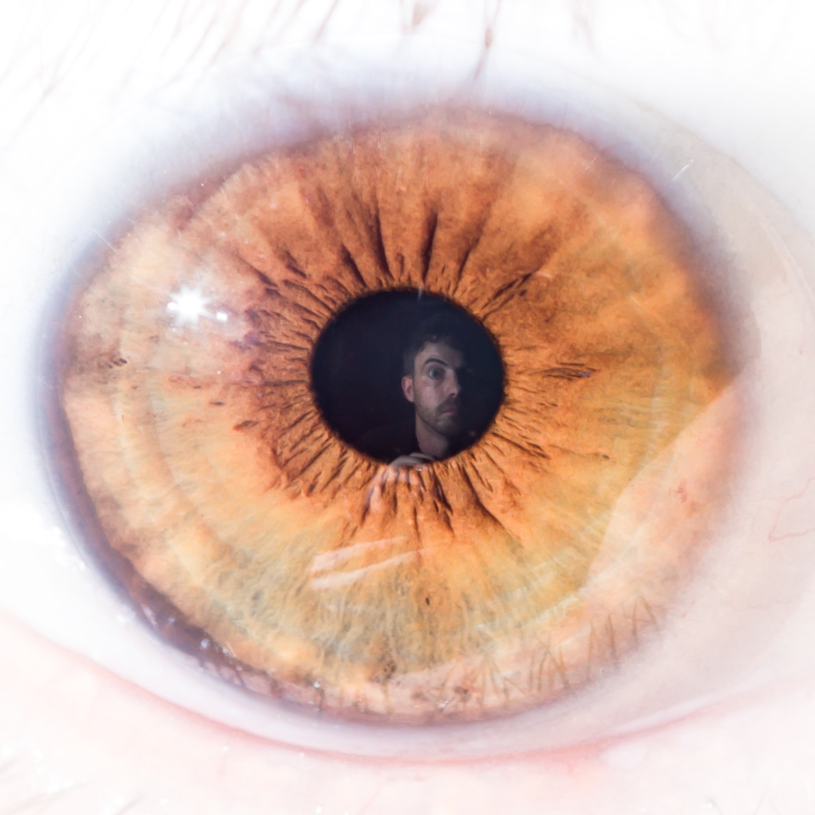 Canon EF 100mm F2.8 Macro USM sample photo. Double self portrait, the beauty and the beast photography