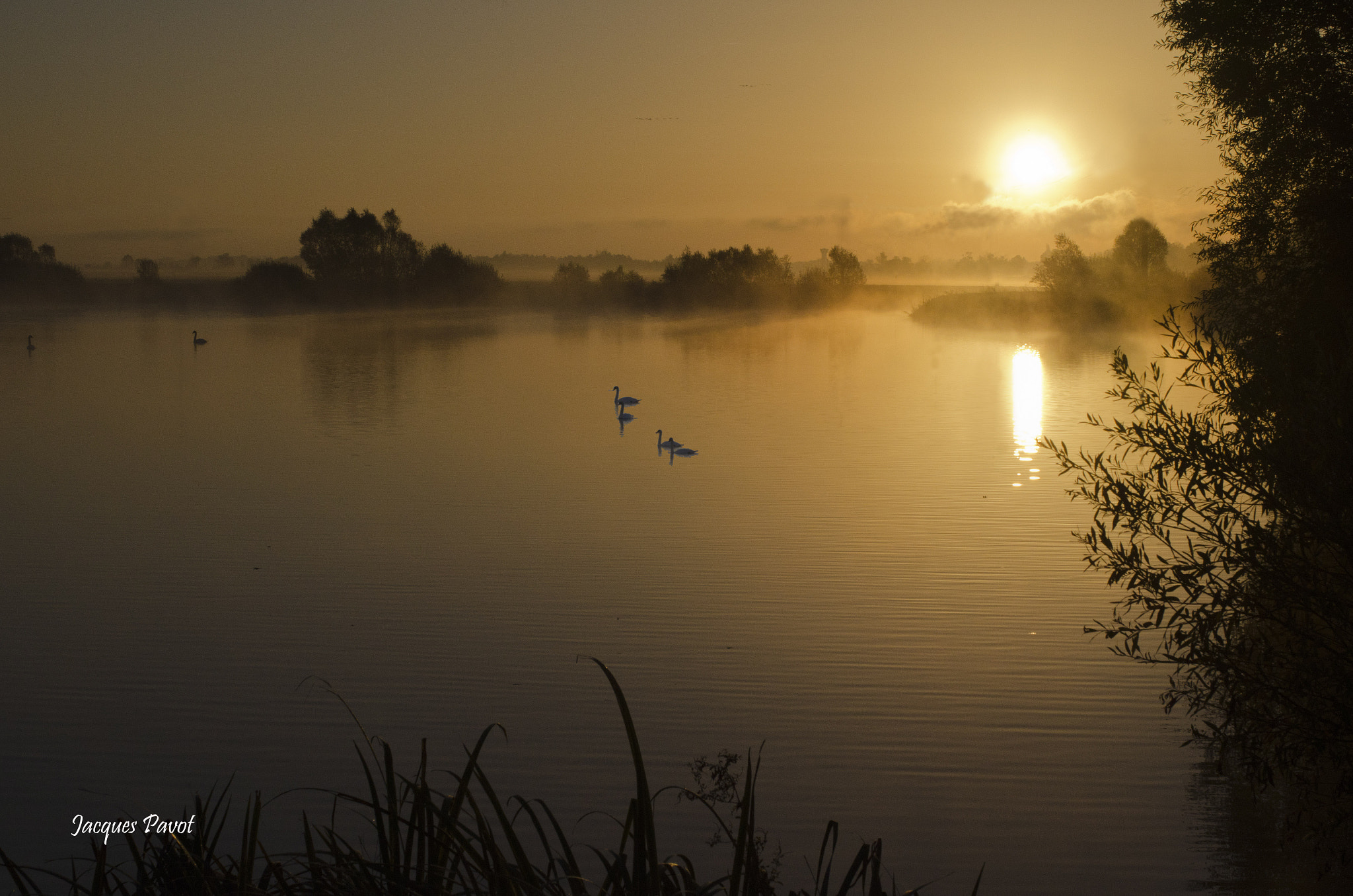 Nikon D7000 + Sigma 50mm F2.8 EX DG Macro sample photo. Matin sur le der photography