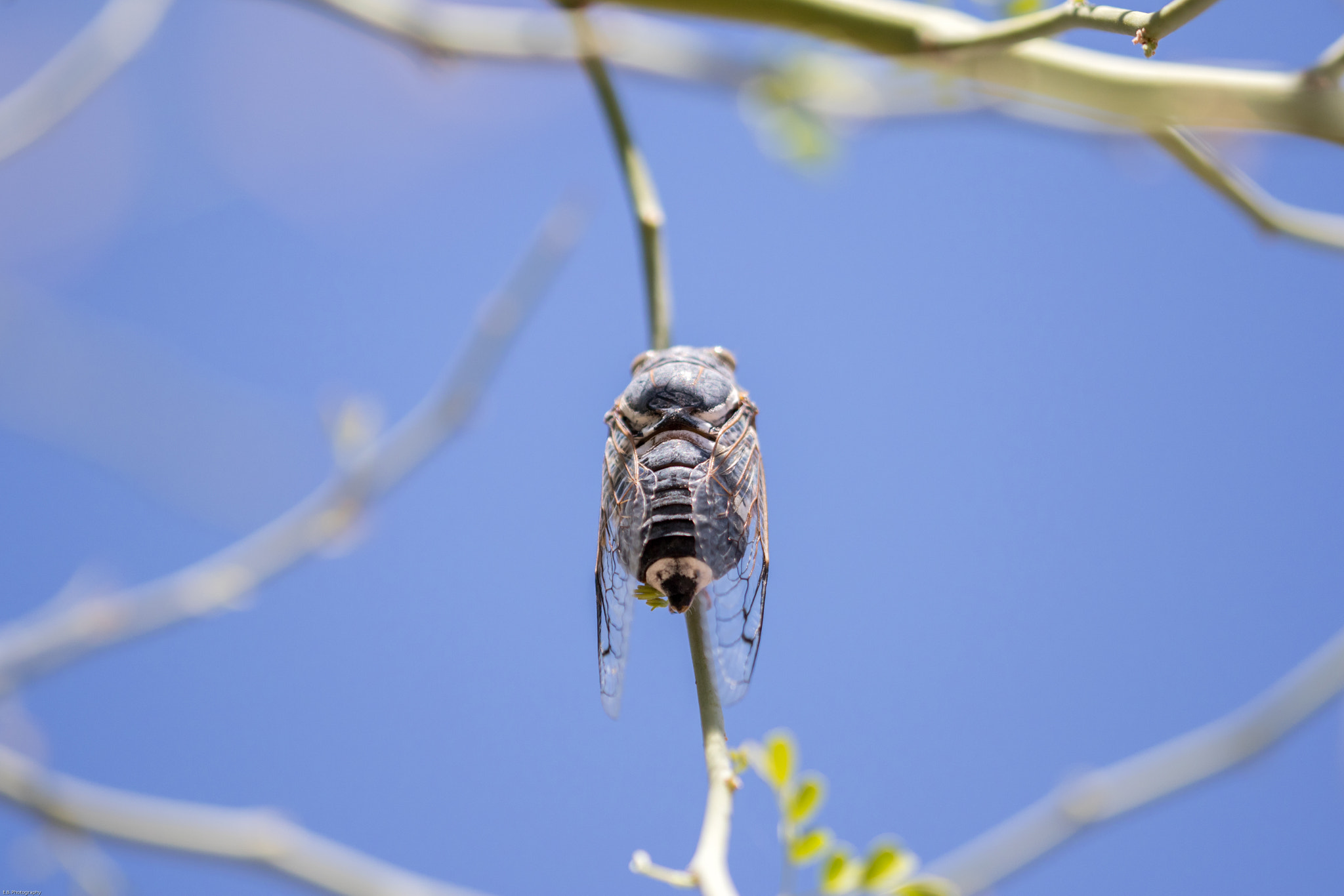 Canon EF 180mm F3.5L Macro USM sample photo. Pw4a5415.jpg photography