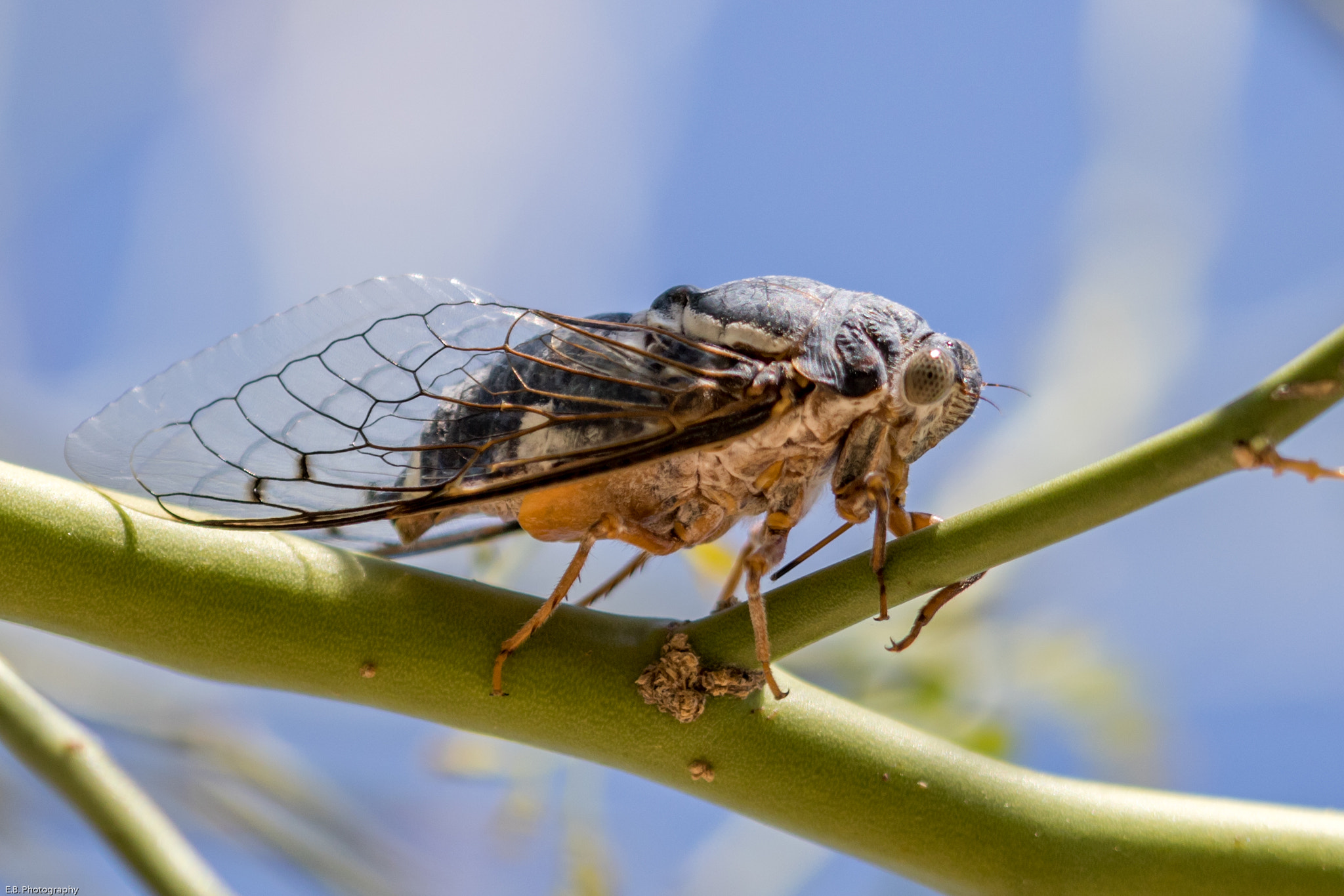 Canon EF 180mm F3.5L Macro USM sample photo. Pw4a5438.jpg photography