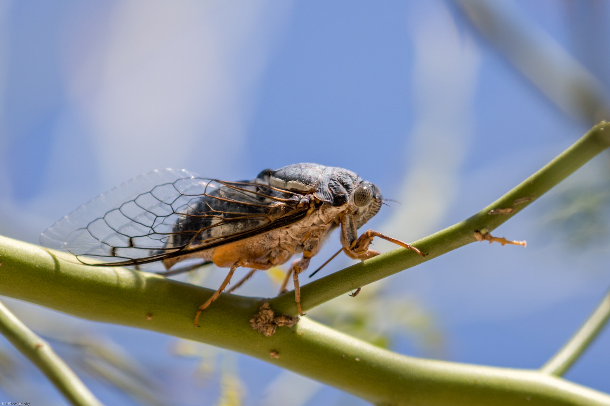 Canon EF 180mm F3.5L Macro USM sample photo. Pw4a5439.jpg photography