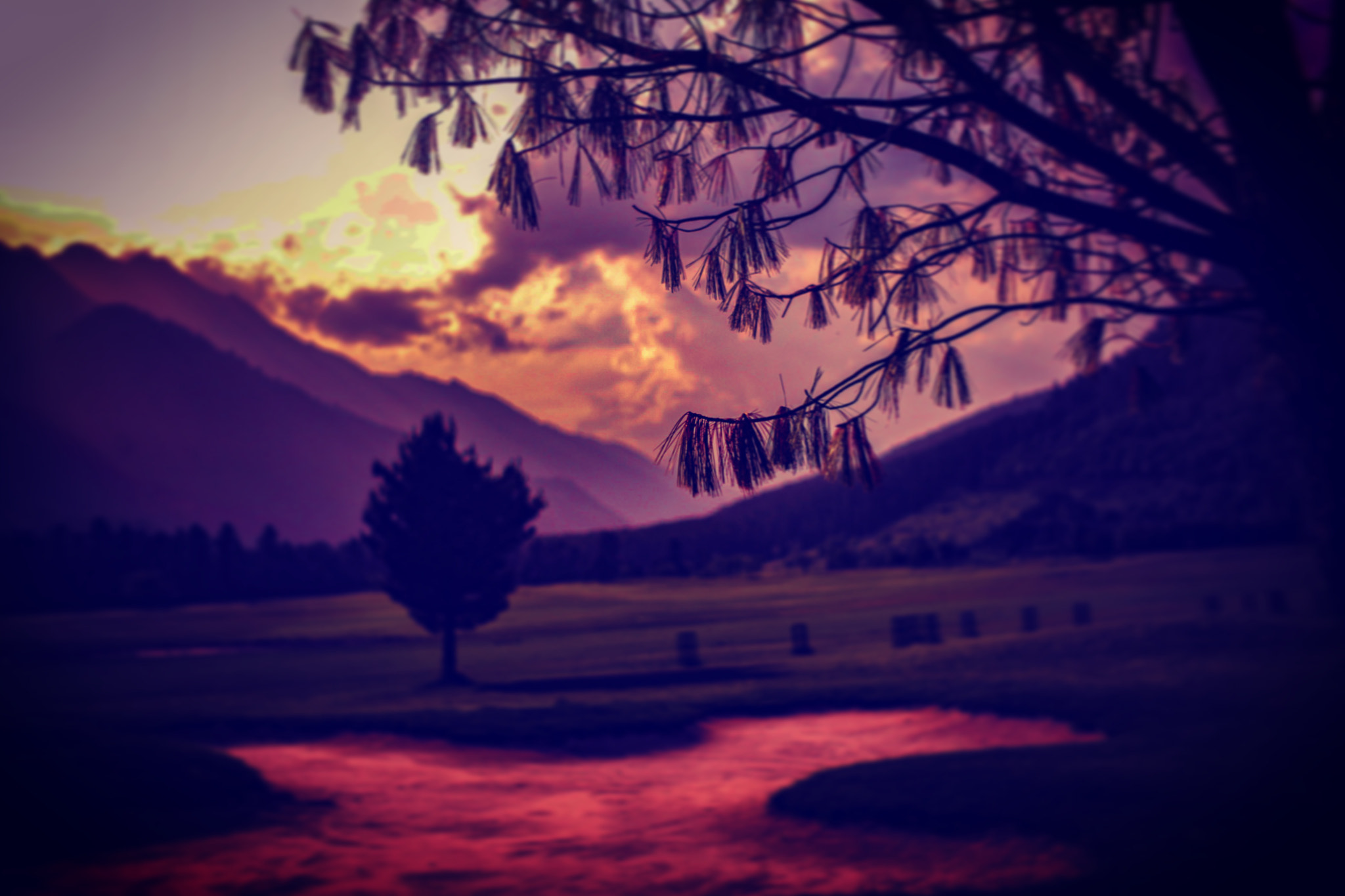Summicron-M 1:2/35 ASPH. sample photo. Pahalgam photography