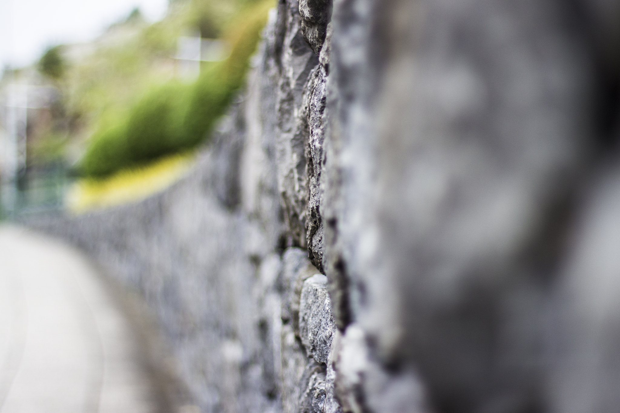 Canon EOS 600D (Rebel EOS T3i / EOS Kiss X5) + Canon EF 50mm F1.4 USM sample photo. Madeira photography