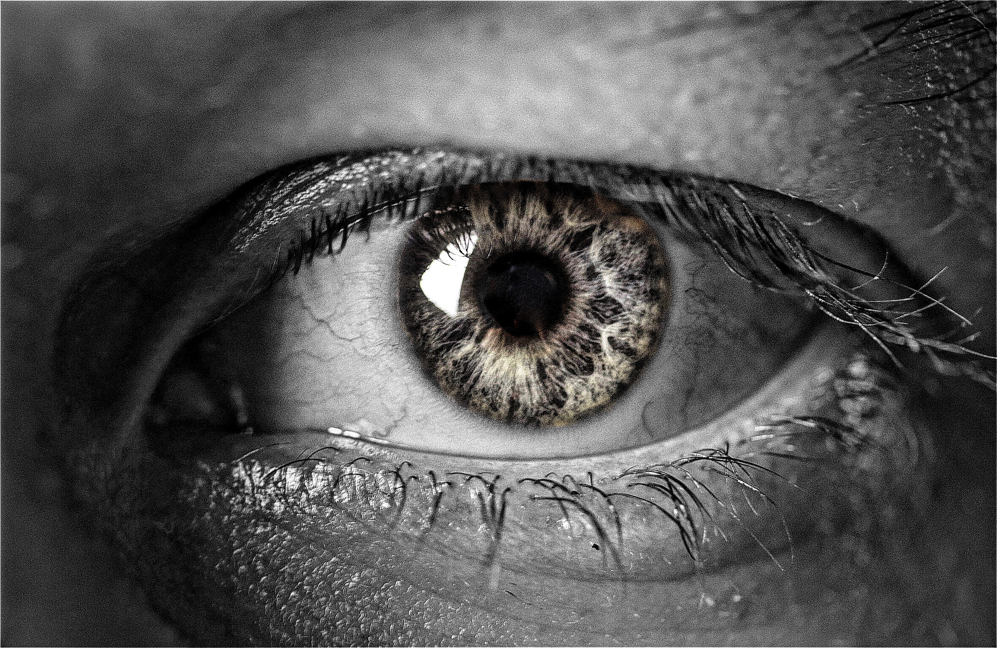 Canon EF-S 60mm F2.8 Macro USM sample photo. My eye photography
