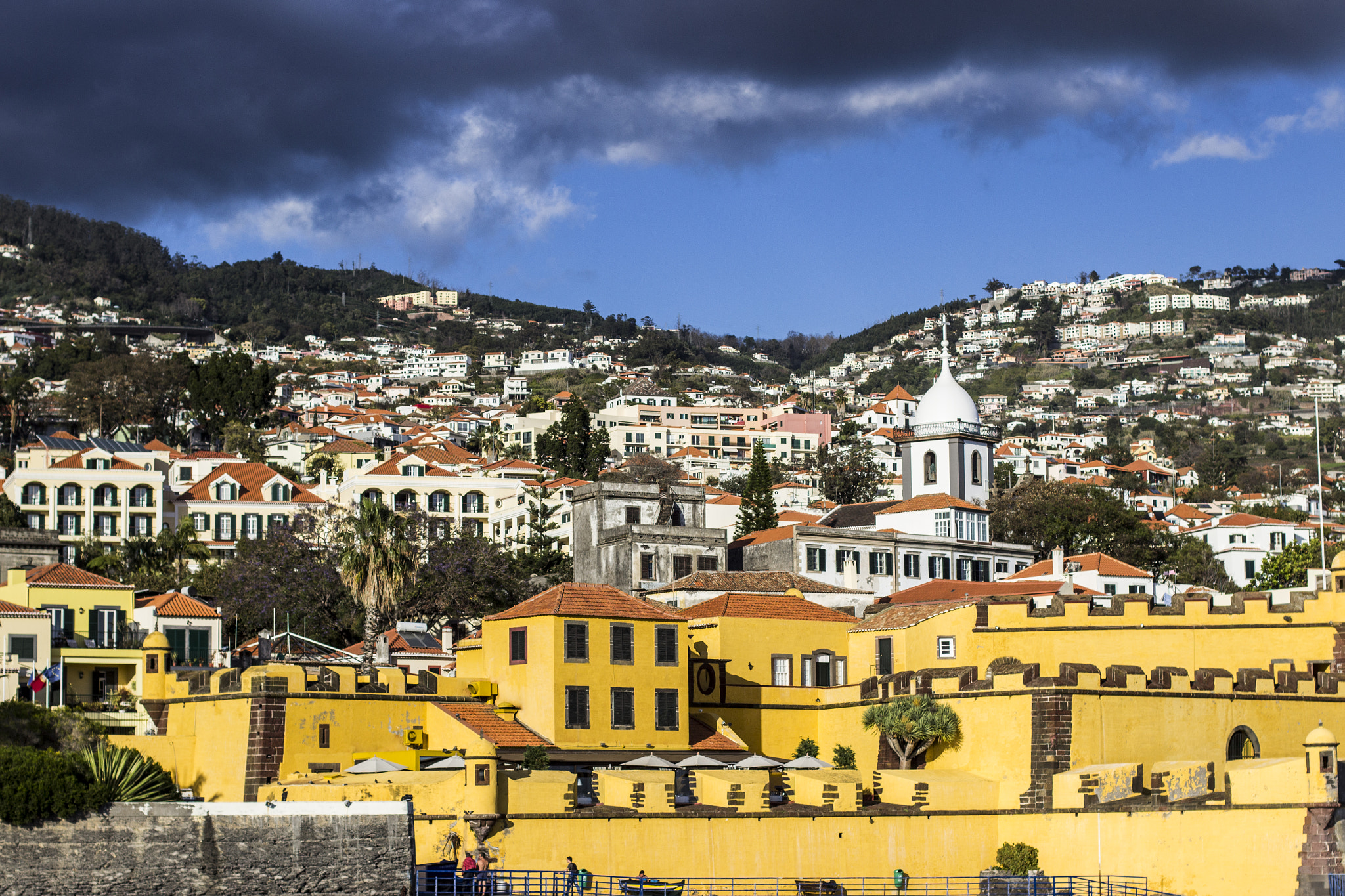 Canon EOS 600D (Rebel EOS T3i / EOS Kiss X5) + Canon EF 50mm F1.4 USM sample photo. Madeira photography