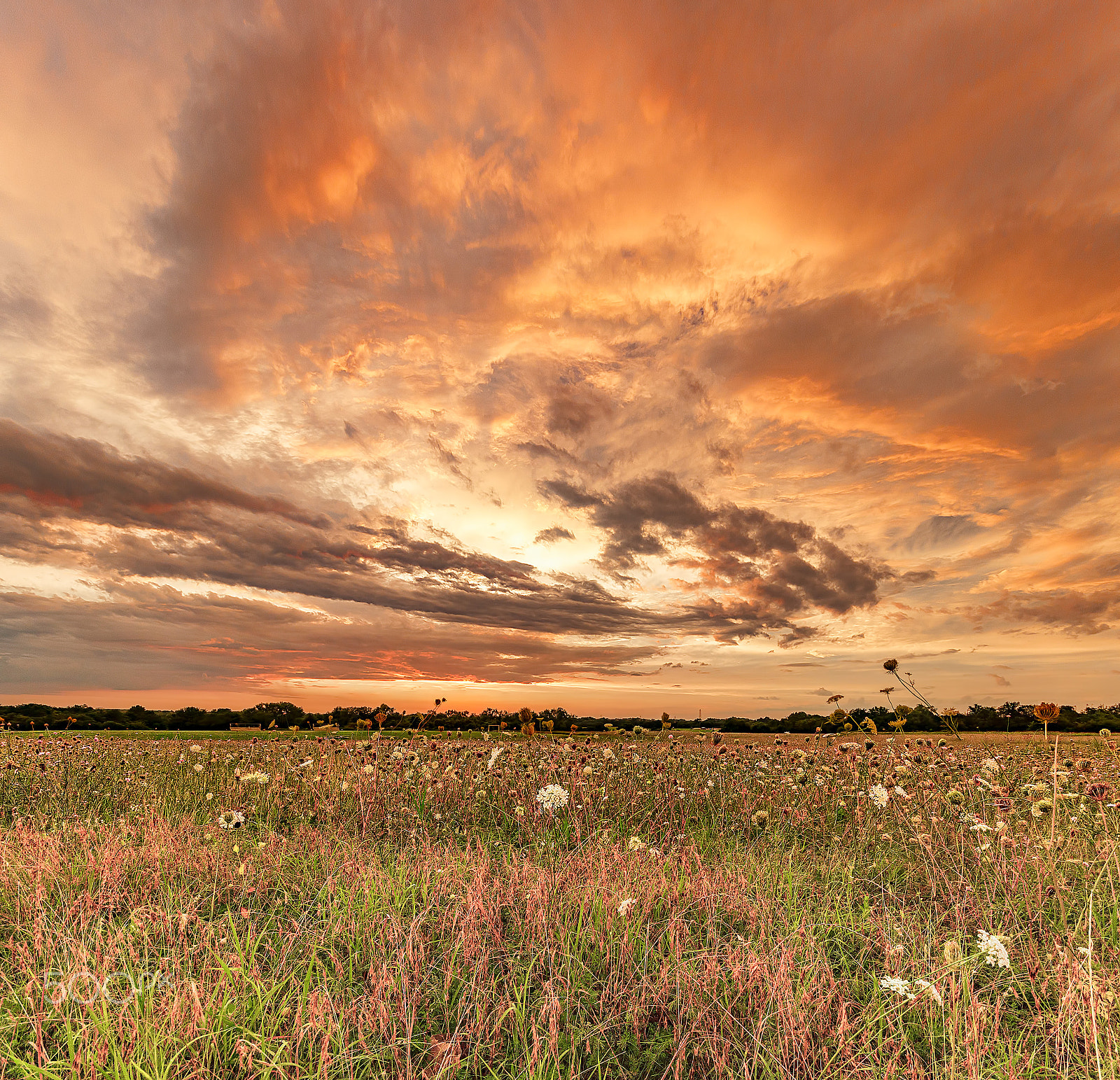 Sigma 10-20mm F4-5.6 EX DC HSM sample photo. Last night's show photography