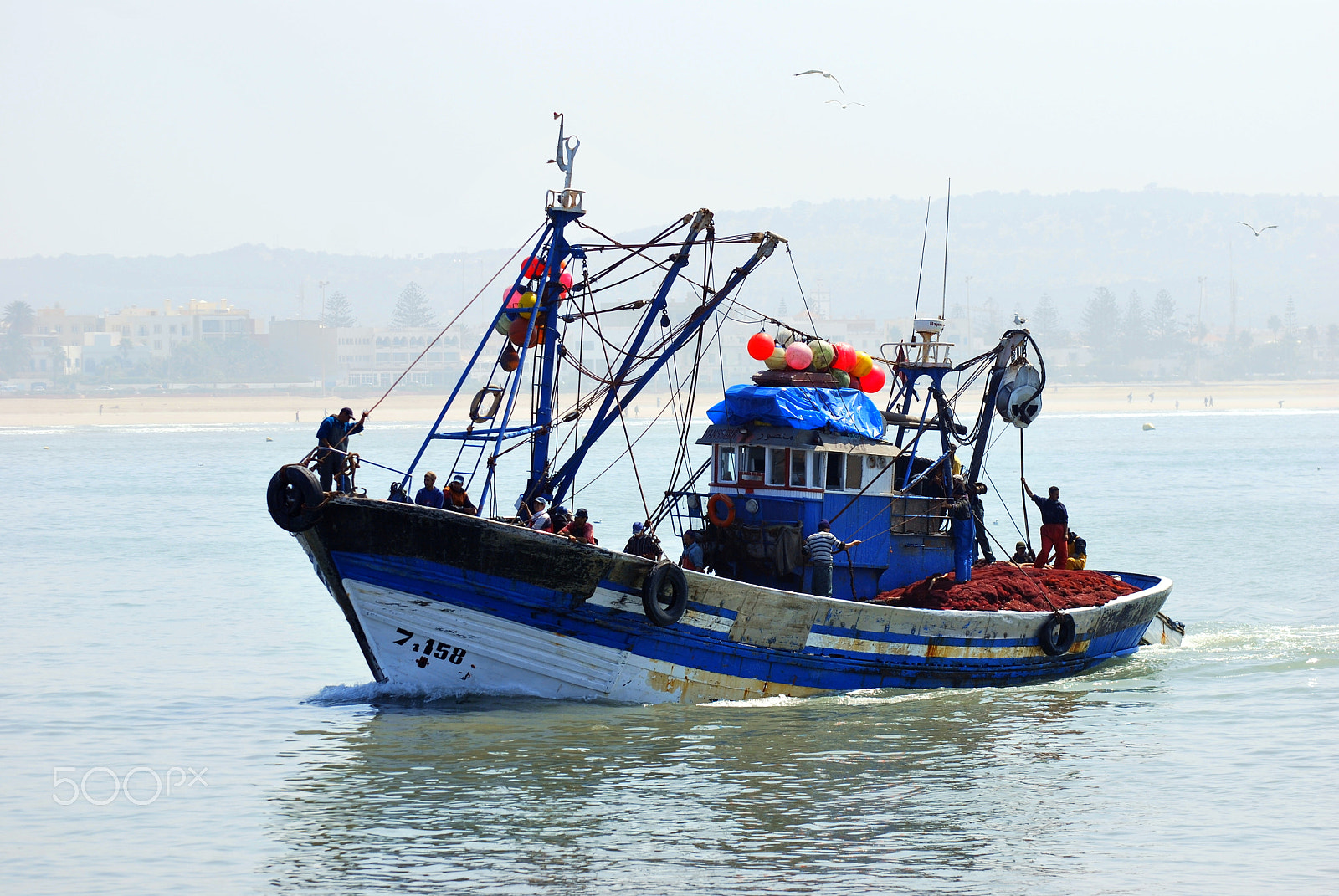 Nikon D60 sample photo. Essaouira fishing photography