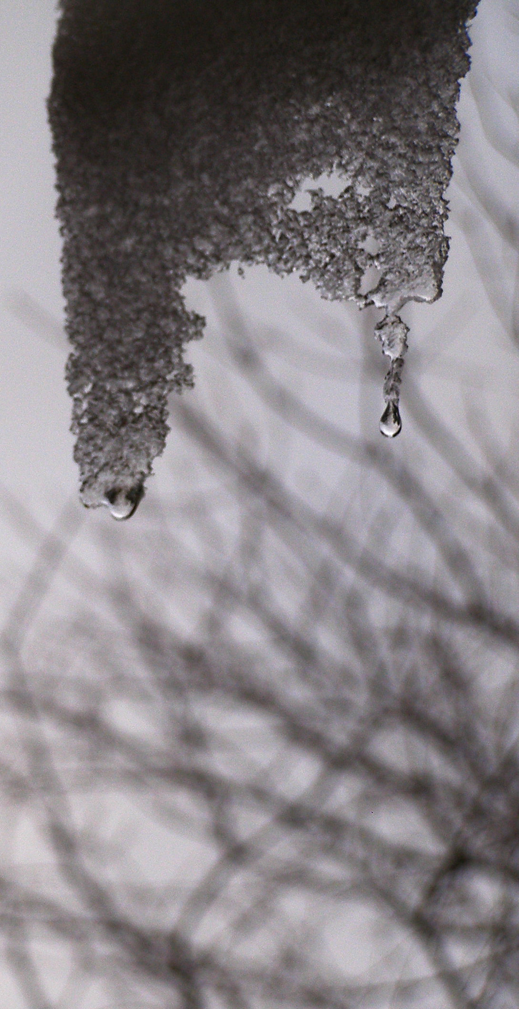 Olympus SP500UZ sample photo. Raindrop... photography