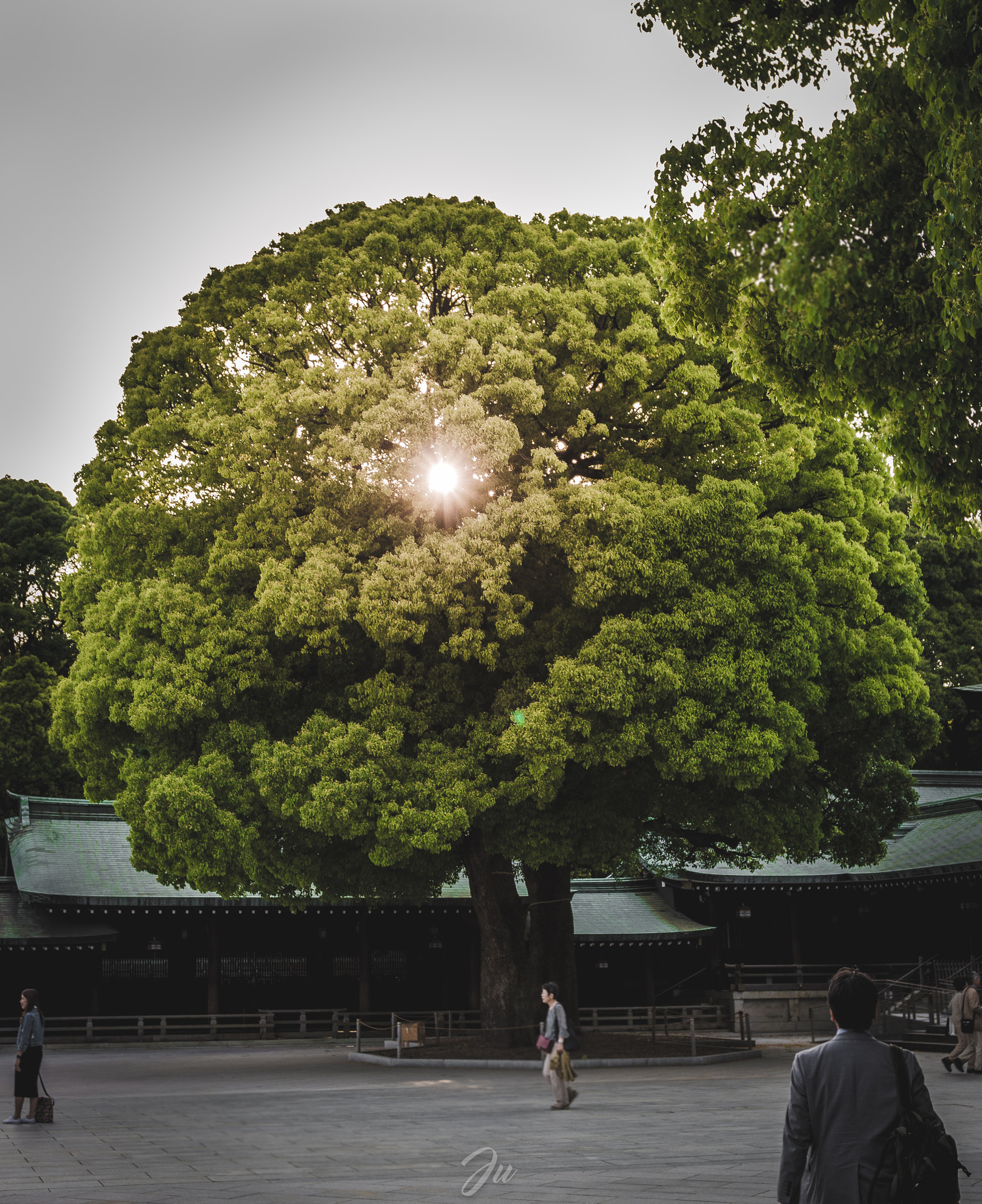 Canon EOS 100D (EOS Rebel SL1 / EOS Kiss X7) + Canon EF 17-40mm F4L USM sample photo. Yoyogi photography
