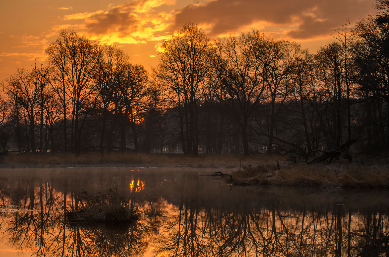 Pentax K-50 + Sigma sample photo. Morning sighs photography