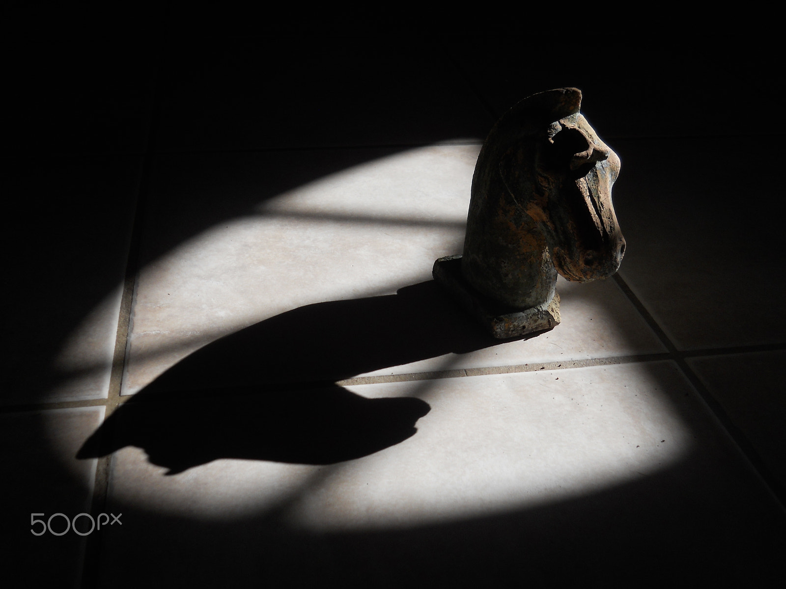 Nikon Coolpix L22 sample photo. Knight's shadow photography