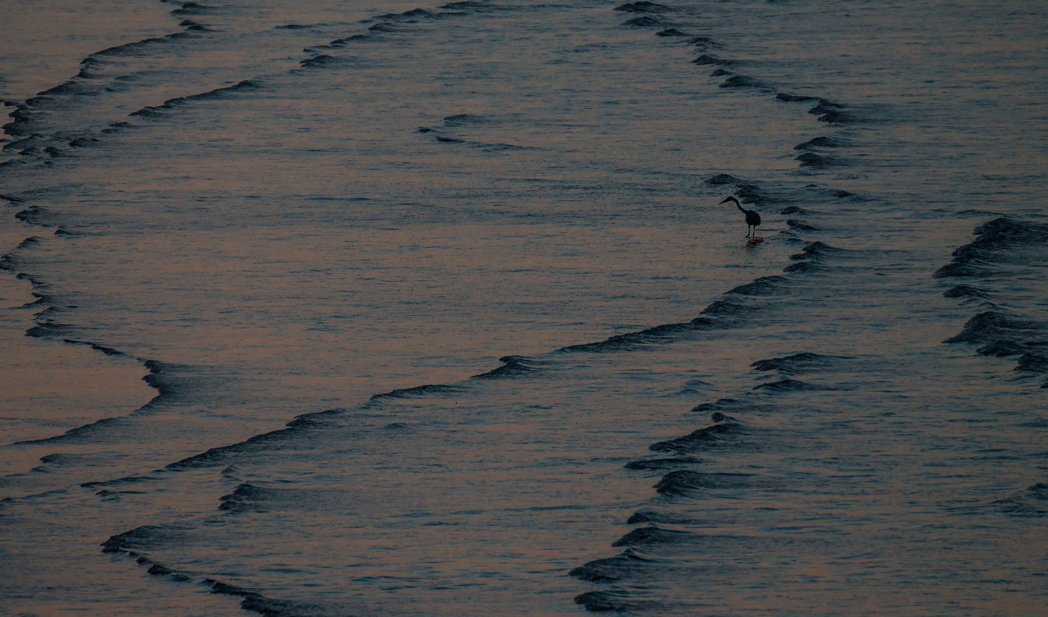 Tamron SP 35mm F1.8 Di VC USD sample photo. Alone in the waves photography