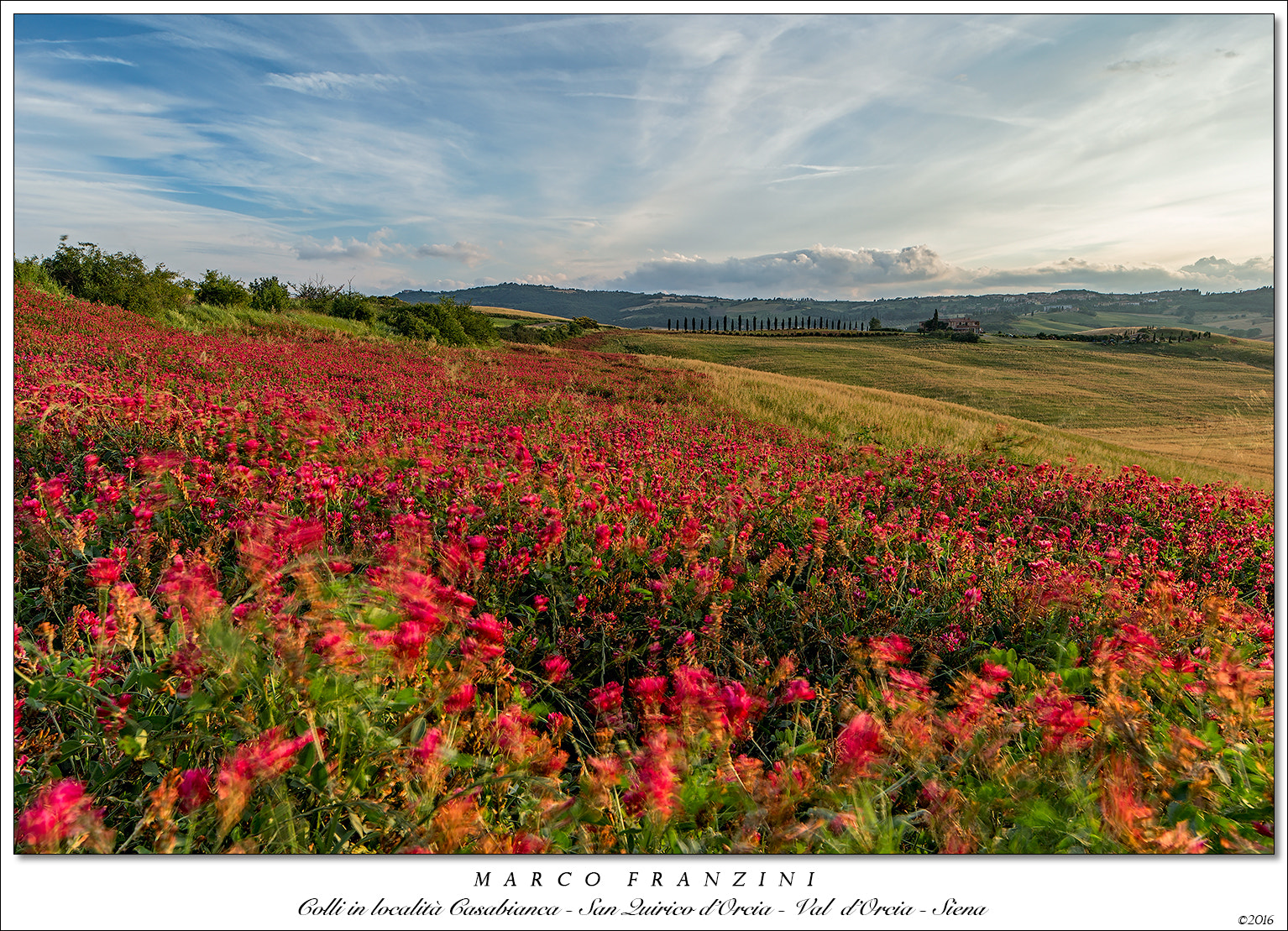 Canon TS-E 24.0mm f/3.5 L II sample photo. Sweet hills photography