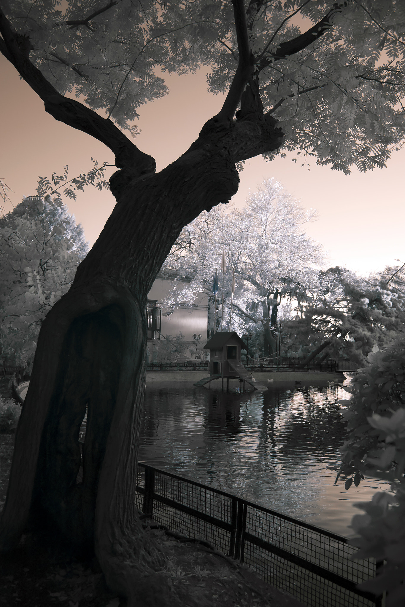 Nikon D70s sample photo. Mother nature and prayer... photography