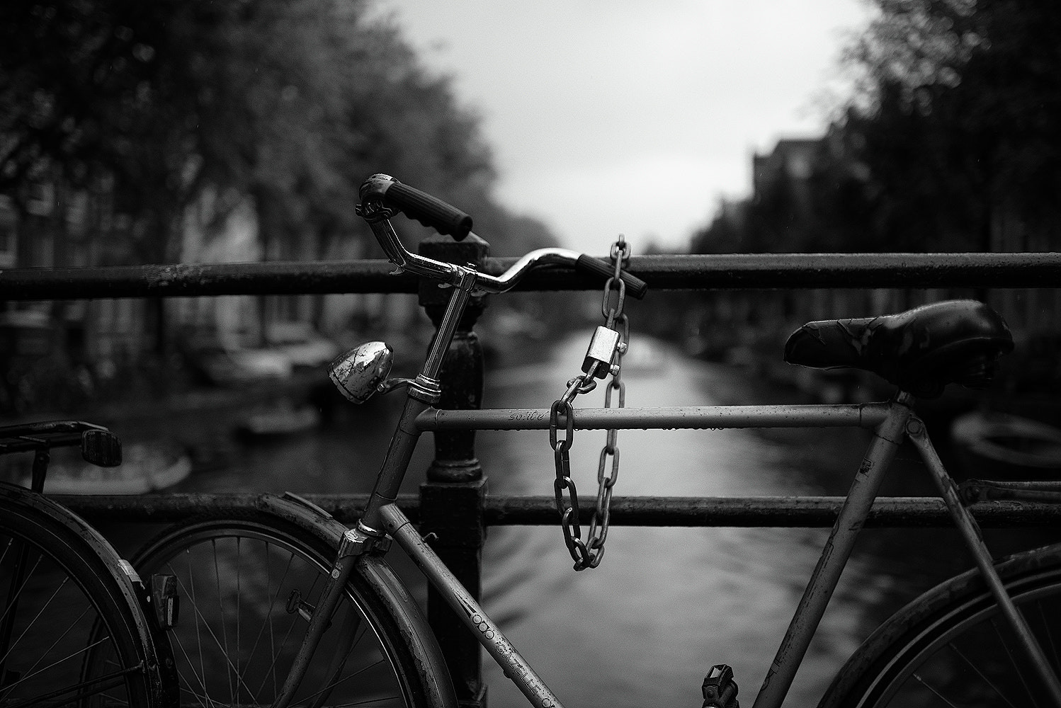 Nikon D610 + Nikon AF-S Nikkor 35mm F1.4G sample photo. Amsterdam xxx photography