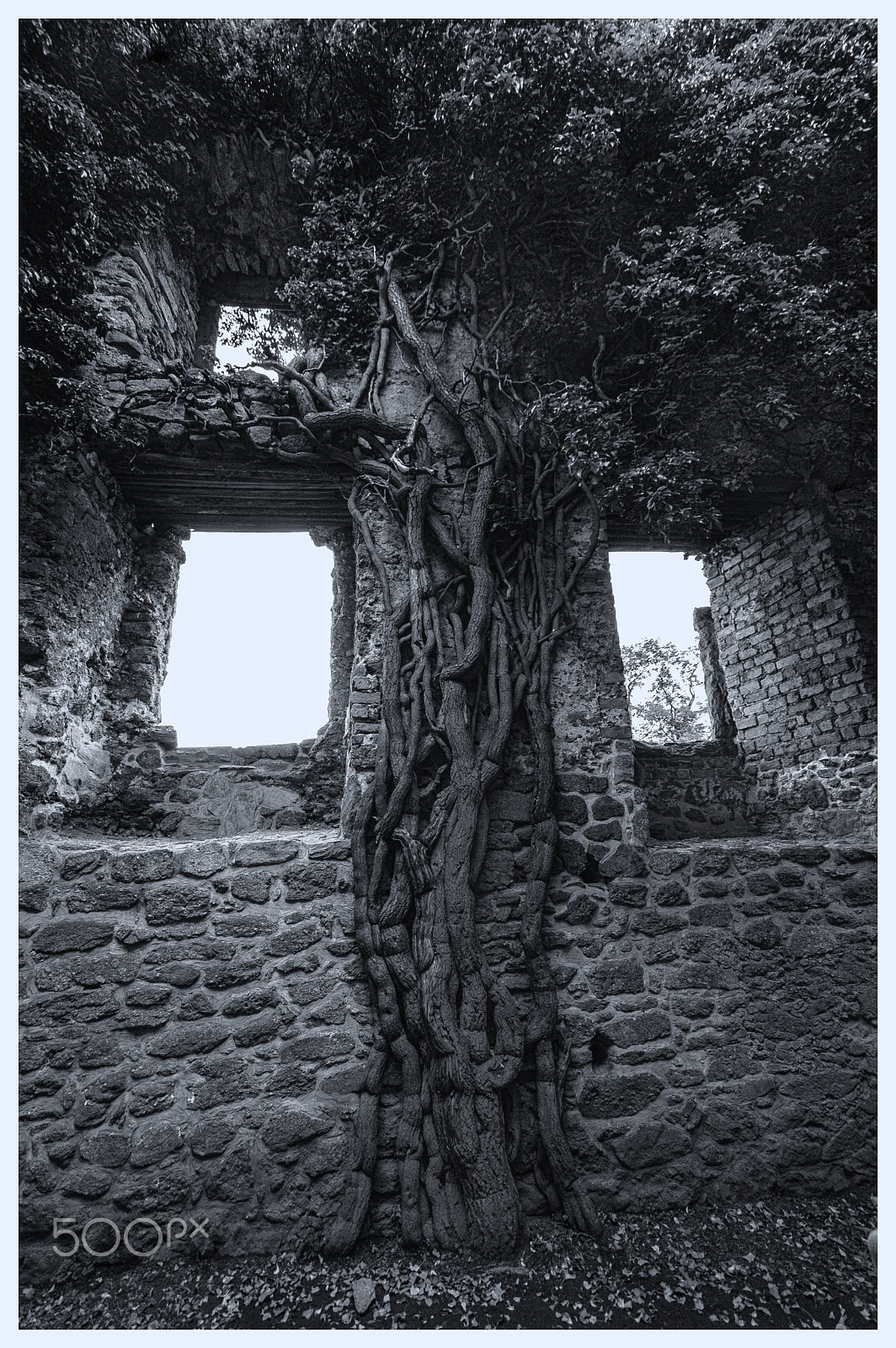 Nikon D70s sample photo. Chojnik #2 photography