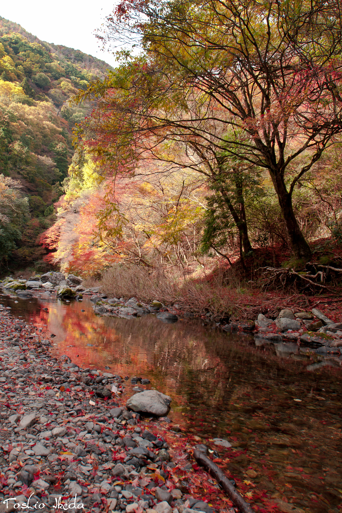 Sony Alpha DSLR-A700 + Sony DT 11-18mm F4.5-5.6 sample photo. Colored stream photography