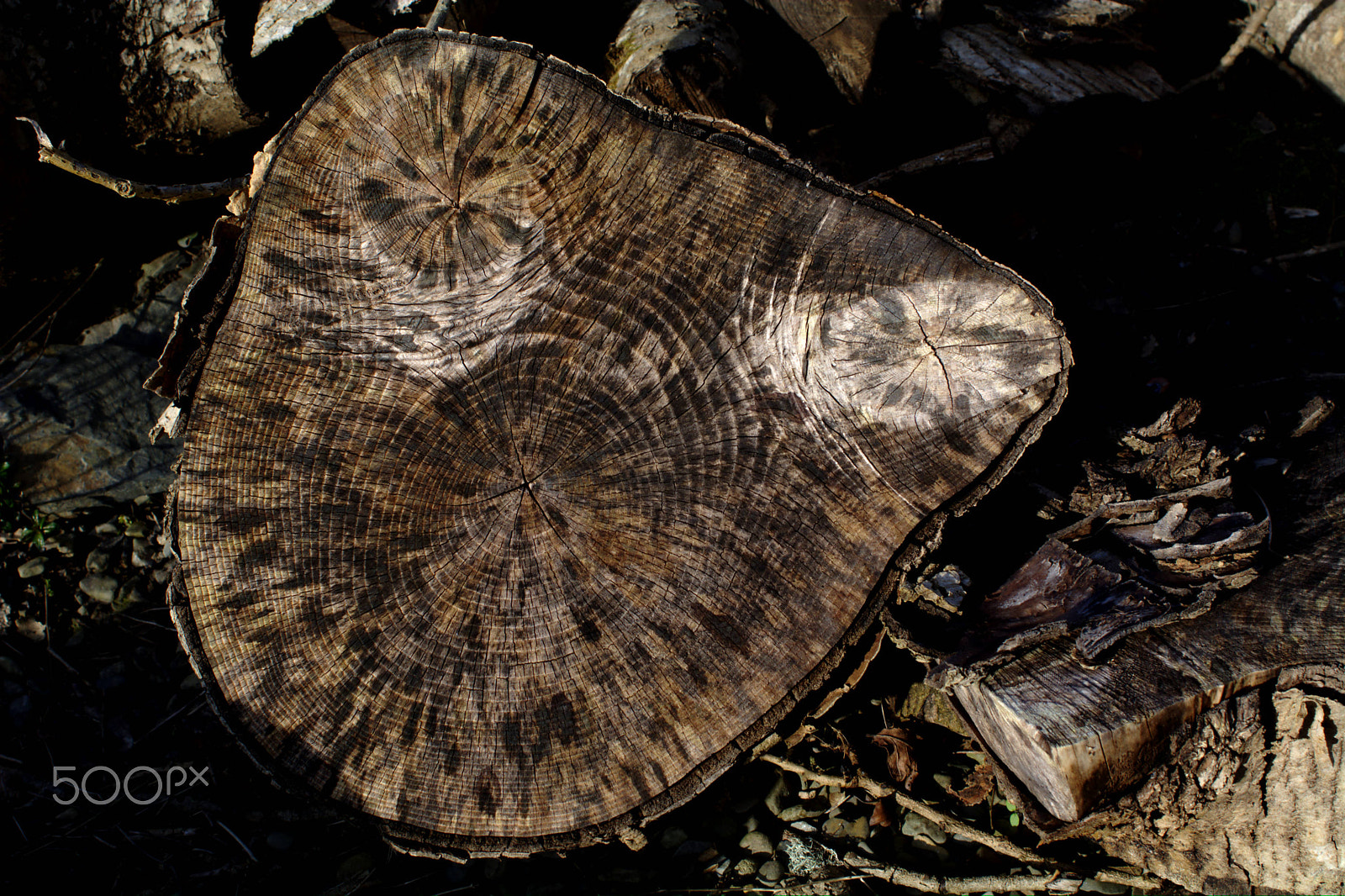 Manual Lens No CPU sample photo. Woodendgrain photography