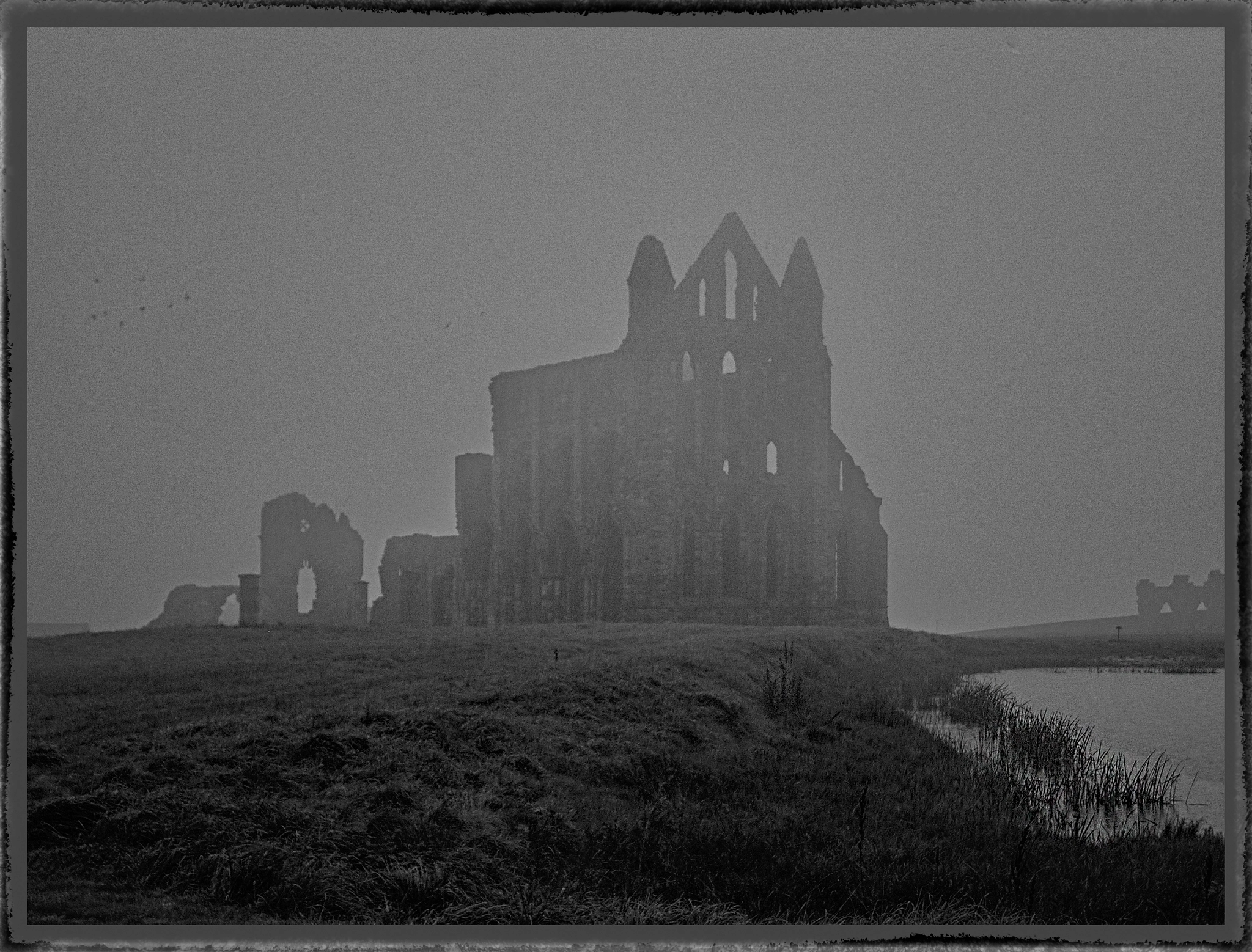 Olympus C5060WZ sample photo. Ruins of whitby abbey photography