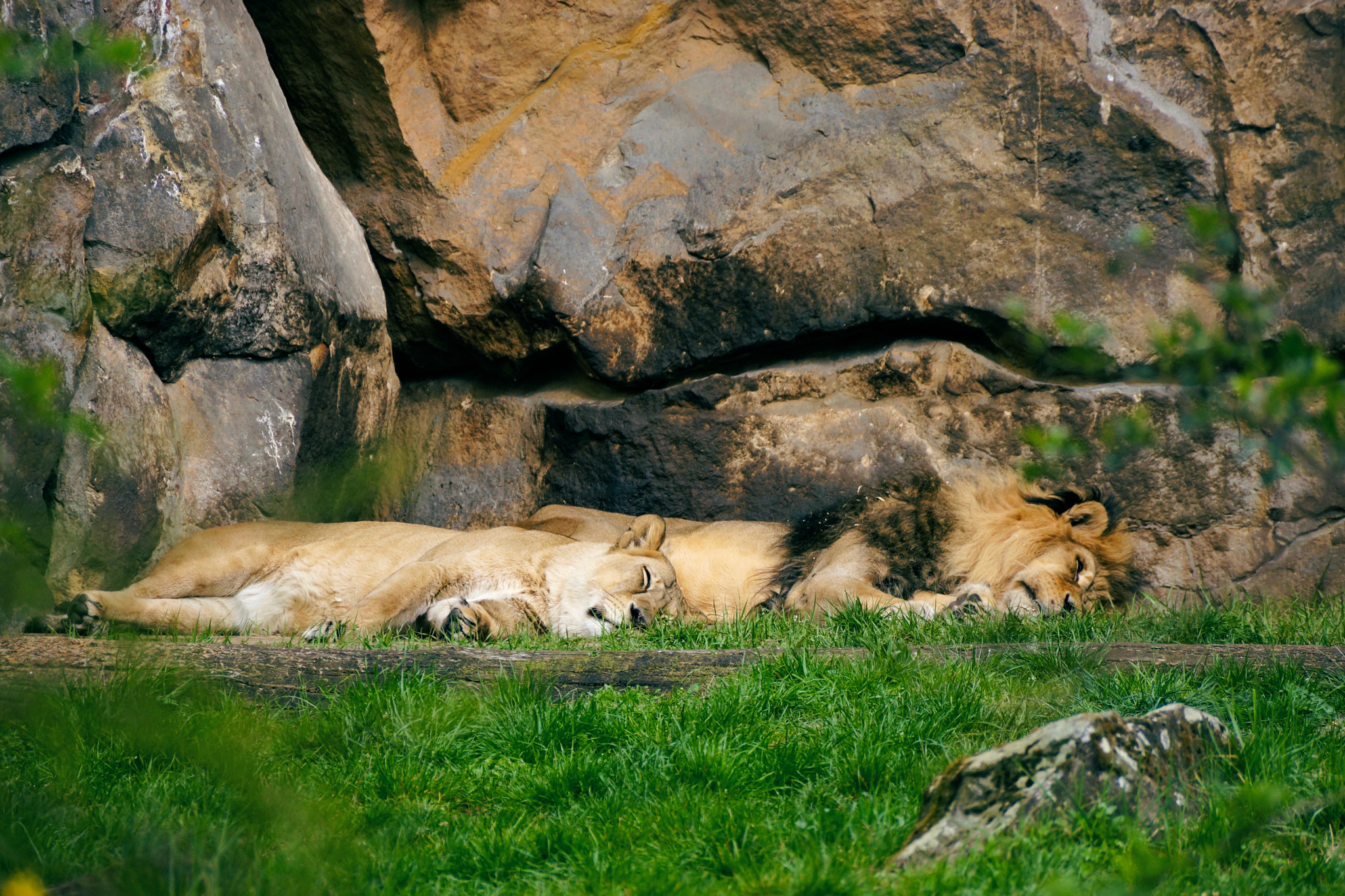 Sony DT 55-300mm F4.5-5.6 SAM sample photo. Sundays be like. photography