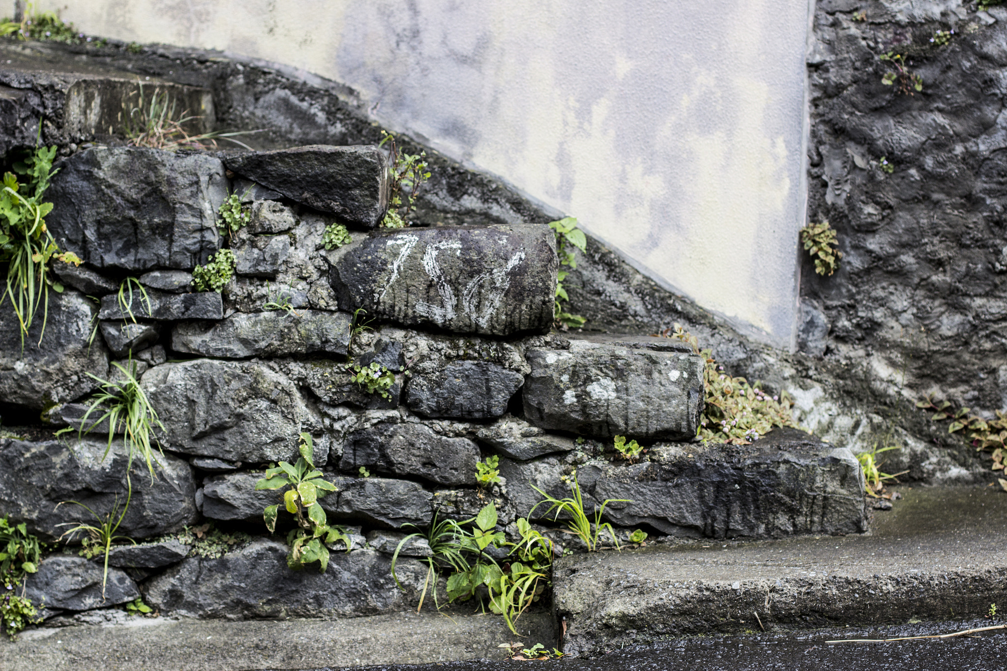 Canon EOS 600D (Rebel EOS T3i / EOS Kiss X5) + Canon EF 50mm F1.4 USM sample photo. Madeira photography